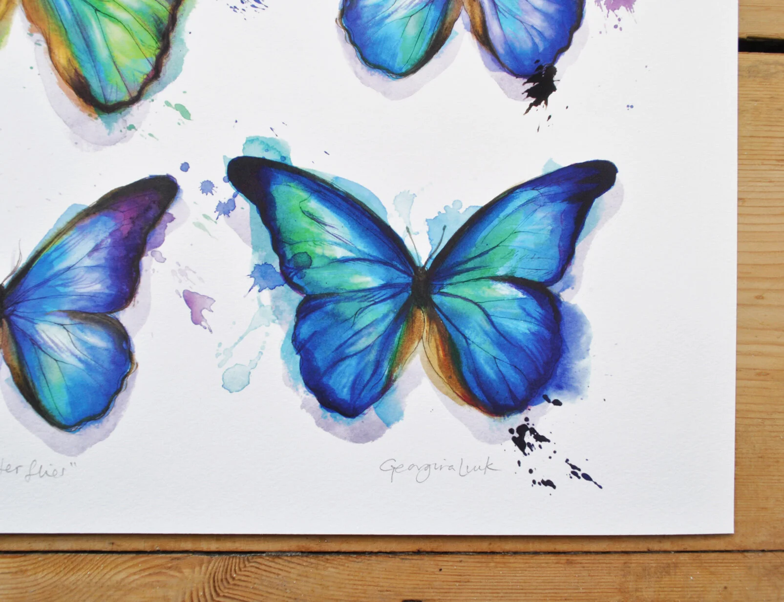 morpho-closeup.jpg