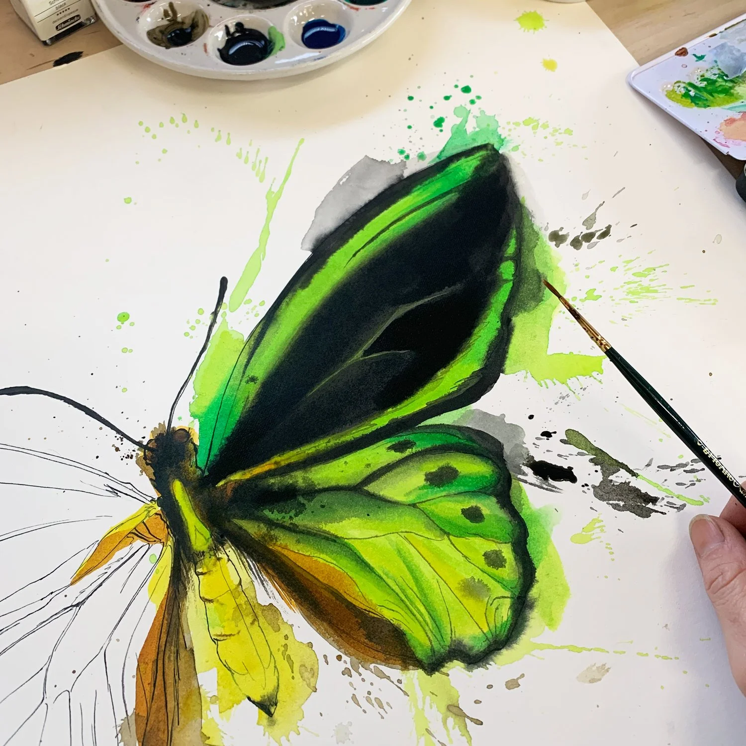 butterfly painting watercolour