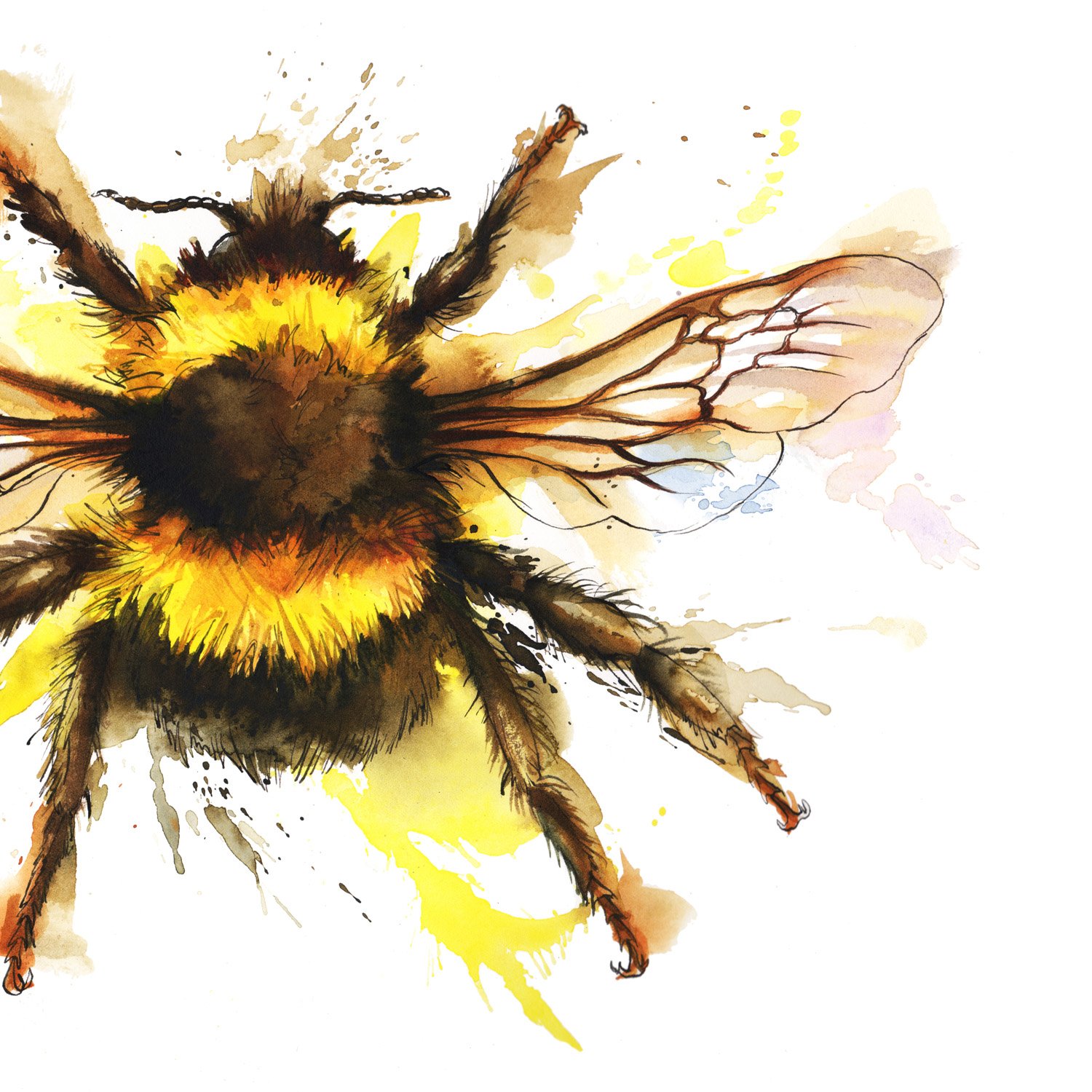 closeup bee illustration by artist georgina luck