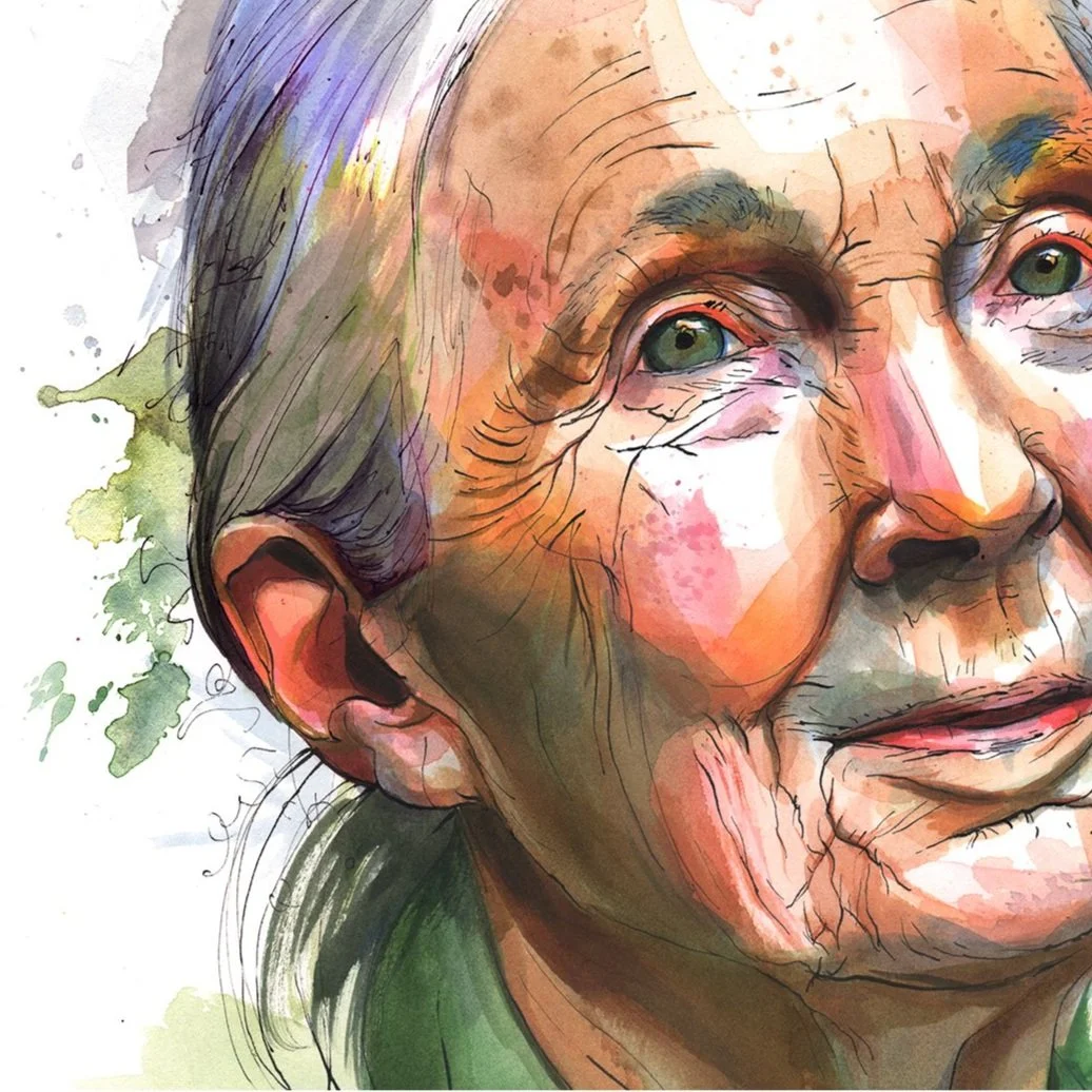 Portraits_JaneGoodall.jpg