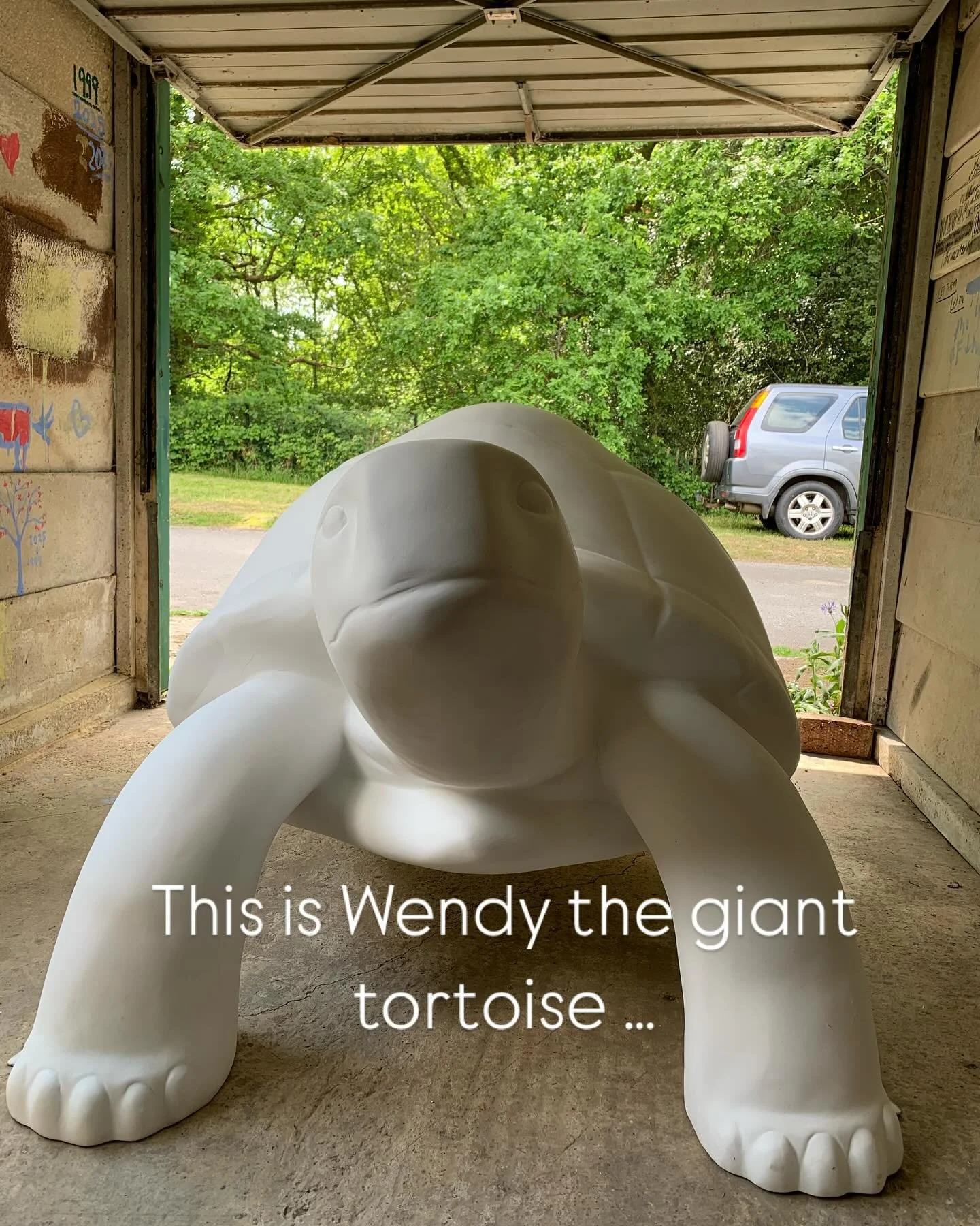 She was delivered a few weeks ago! 

Over the next month I&rsquo;ll be applying my design onto this giant giant giant! Tortoise 🐢 as part of a @wildinart event presented by @demelzacharity taking place this summer in Tunbridge wells. 

This is one o