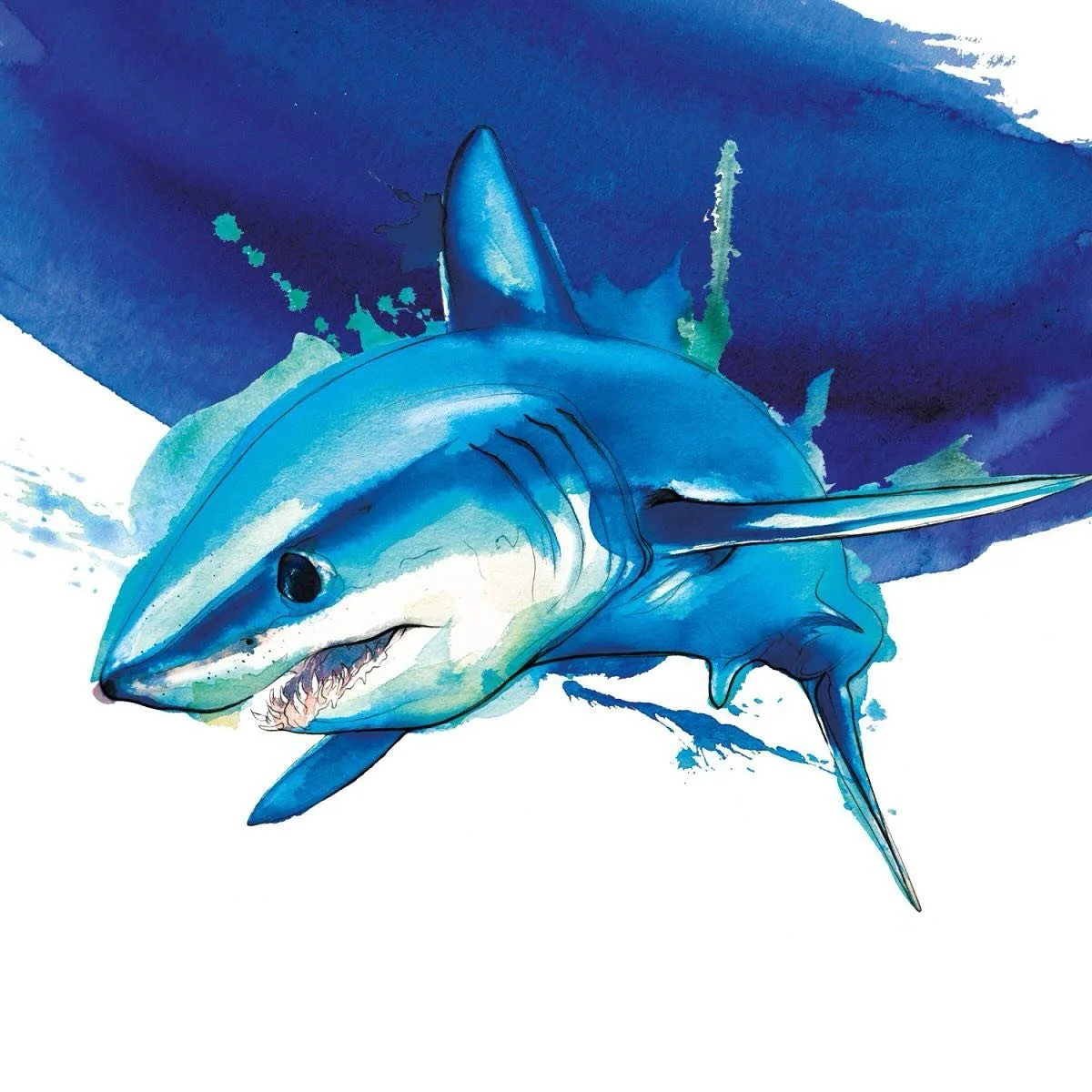 Happy 🌎World Oceans Day 🌊 (oh for yesterday!) #artist #illustrator #freelance #watercolour #acrylicink #worldoceansday #artiststudio #nonfictionillustrator