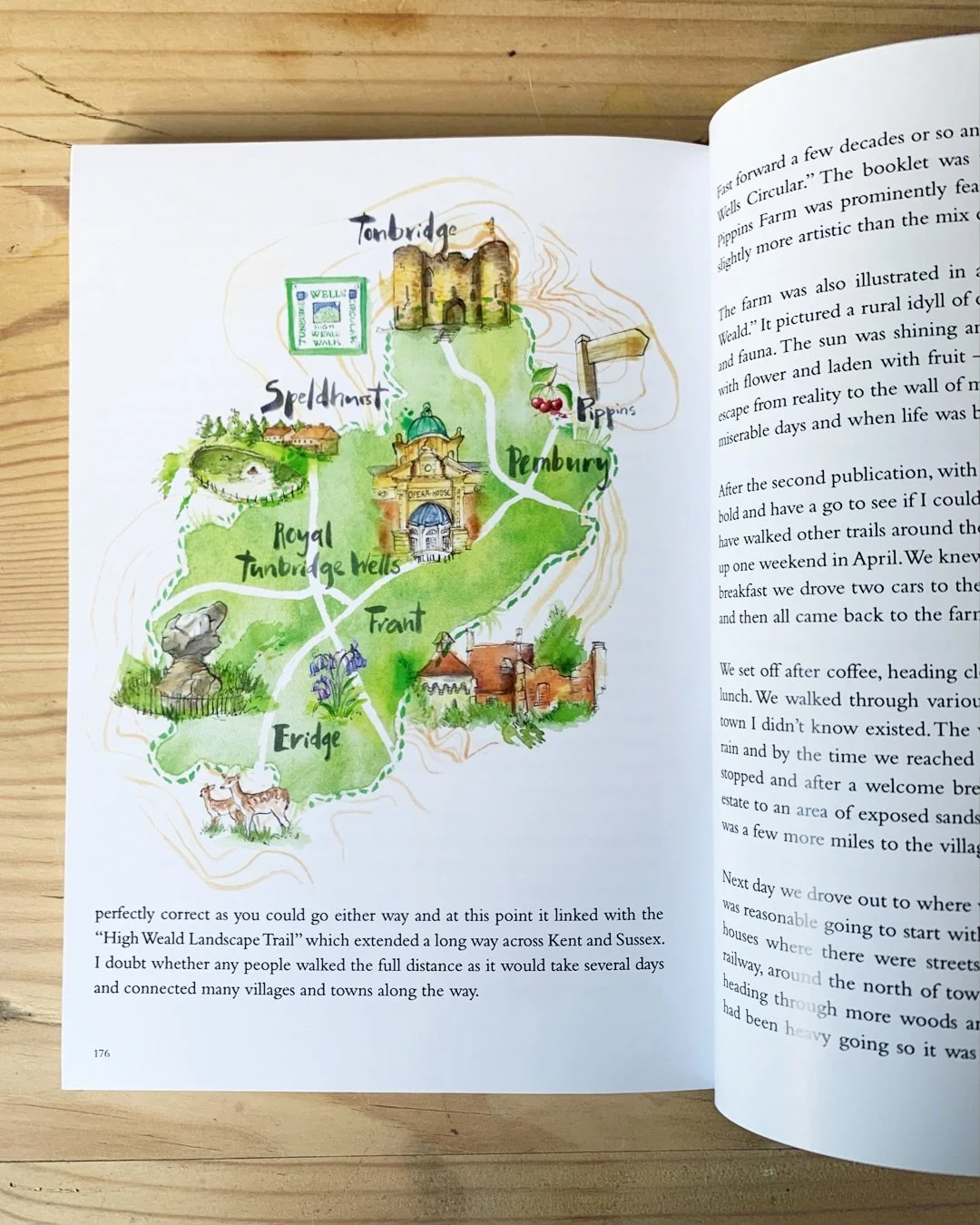 Book illustrations for Roots to Fruits, Anecdotes from the Orchard, by David Knight 

#mapillustration #bookillustration #orchards #farmshop #pippins