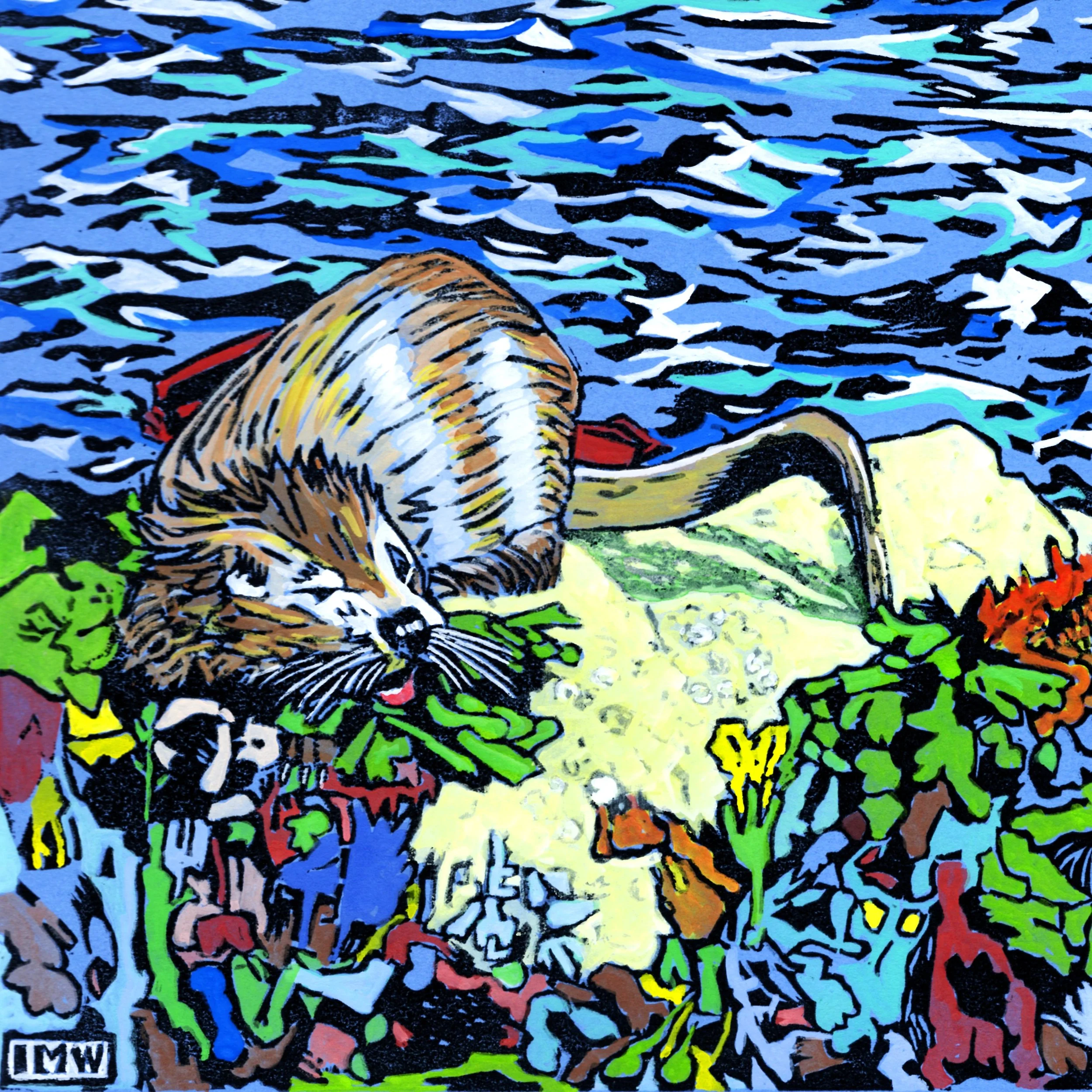 Shetland otter on the rocks