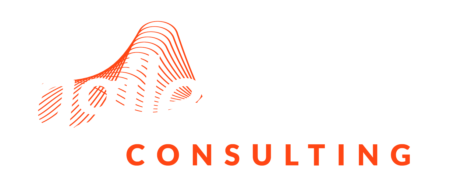 The Agile Brand™ Consulting