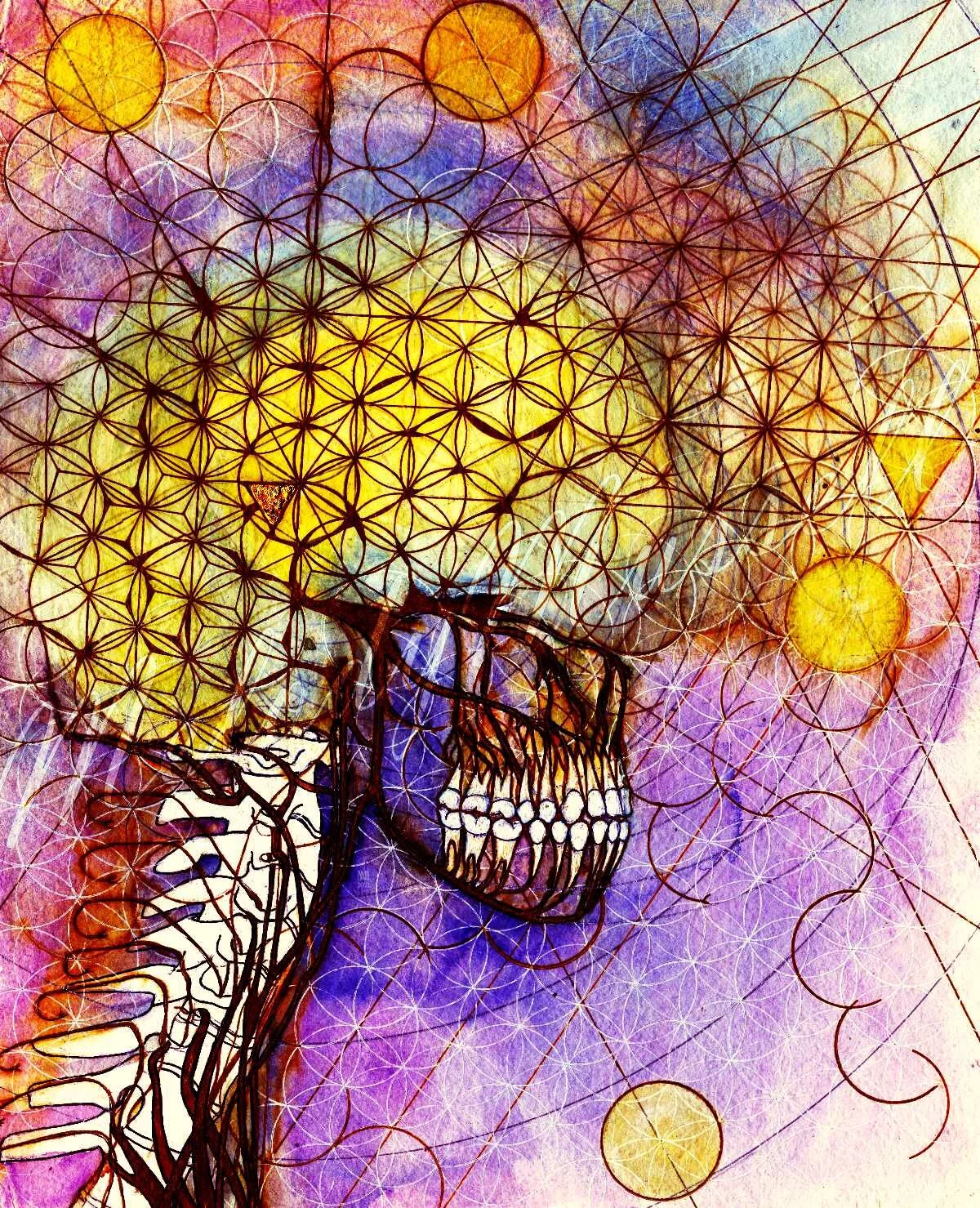 Pineal Gland Ii