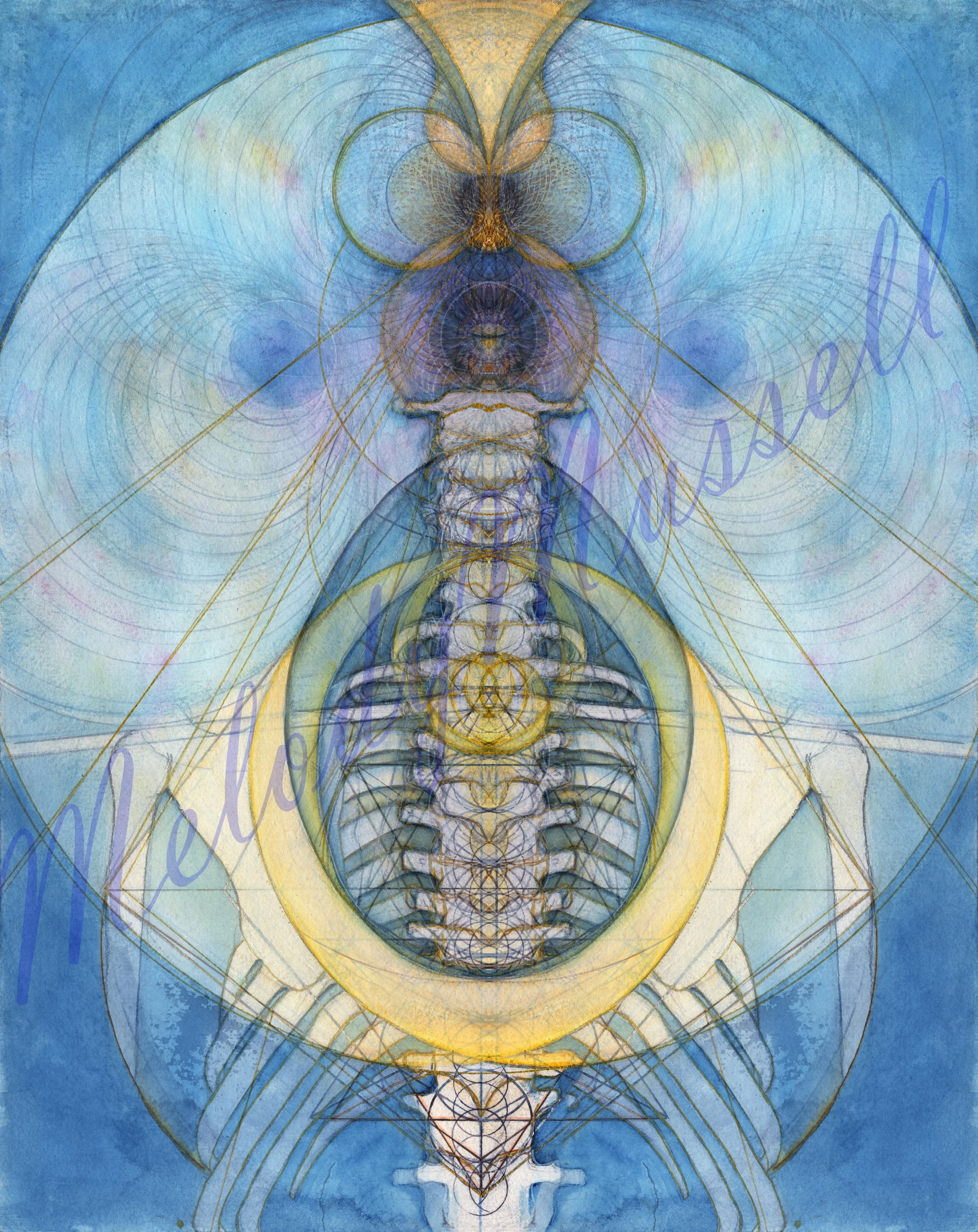 Pineal Gland III ii