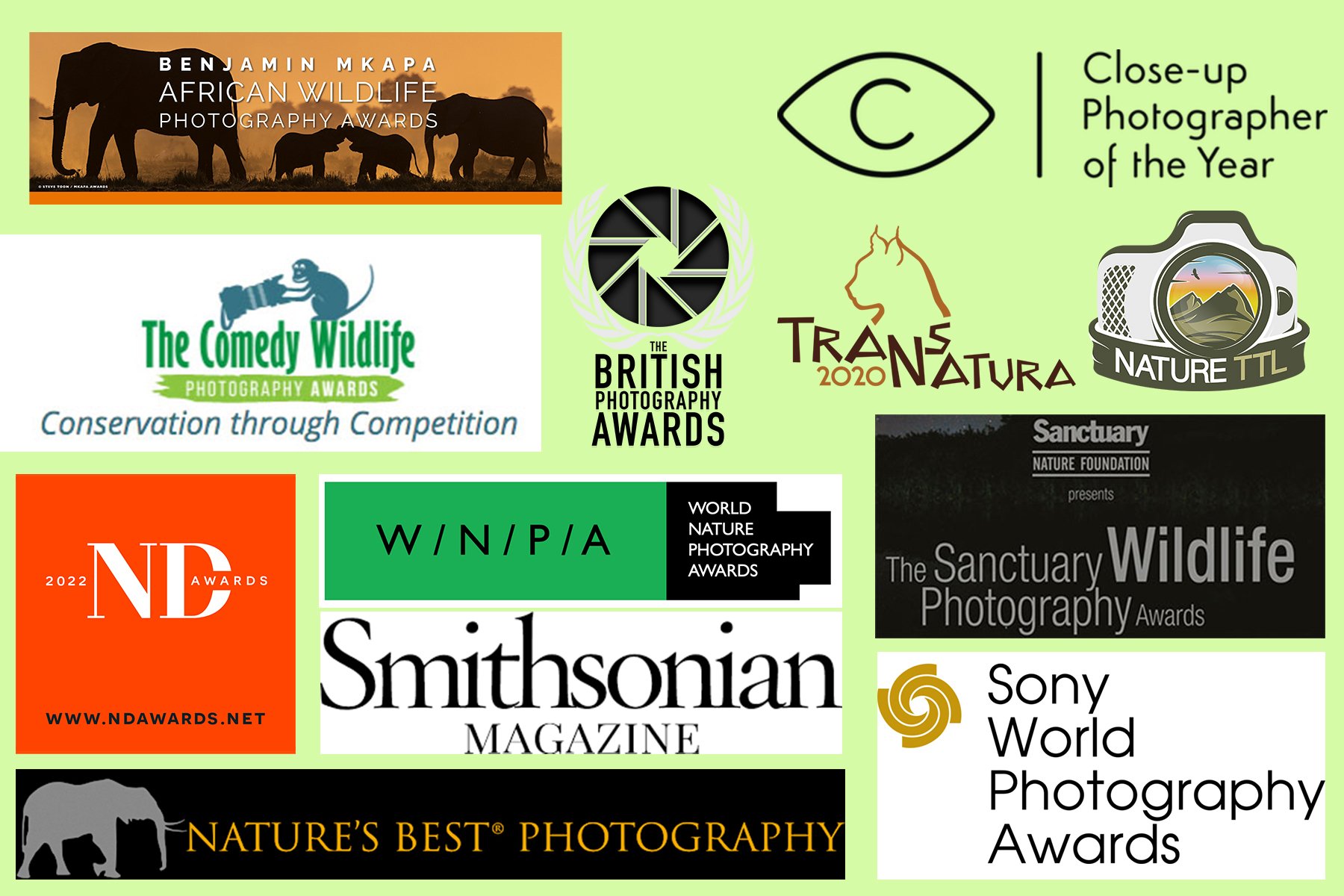 Photography Competitions (Copy) (Copy)
