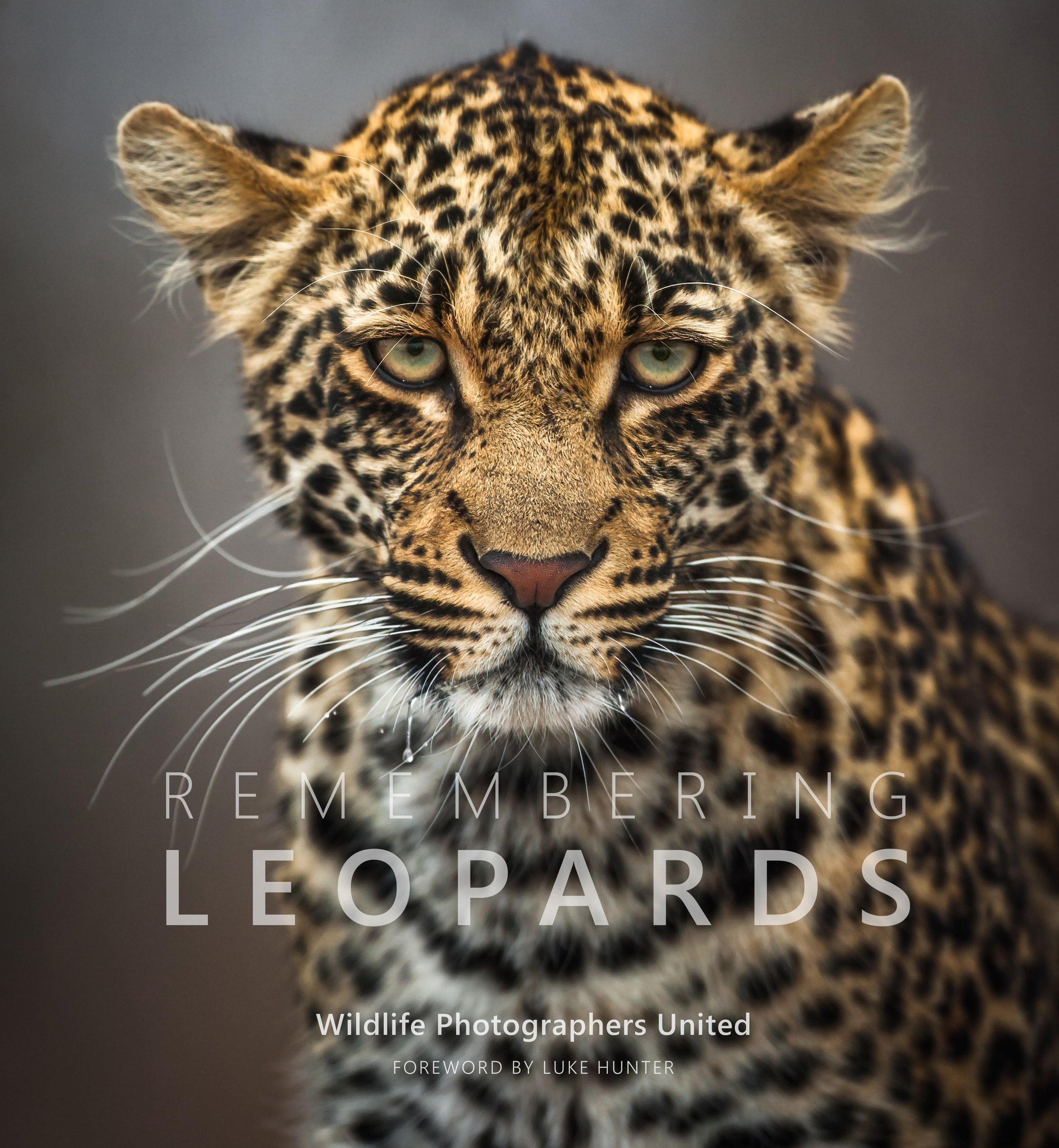 Remembering Leopards is the stunning eighth book in the Remembering Wildlife charity series.
