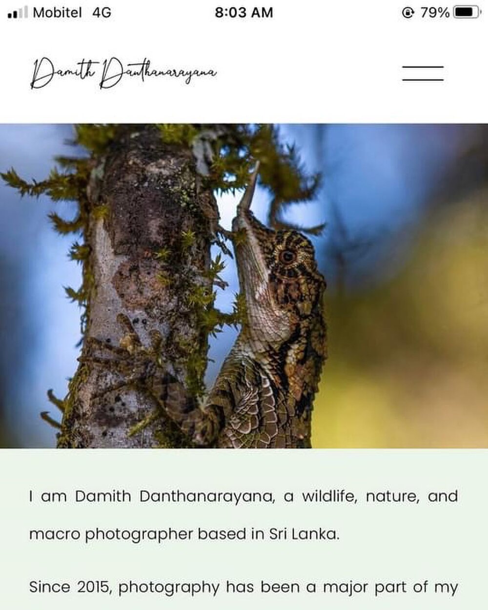 My website and blog about &quot;Wildlife &amp; Nature Photography&quot;

https://www.damithdanthanarayana.com
.

#wildlife #wildlifeonearth #wildlifeofinstagram #wildlifeplanet #naturephotography #nature #learnphotography #photography #srilanka #macr