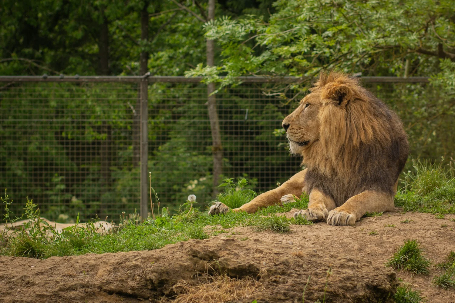 a-must-visit-destination-cotswold-wildlife-park-gardens-england