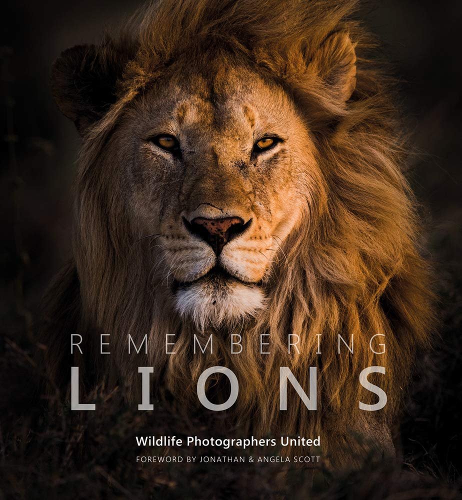 Remembering Lions, the stunning fourth book in the Remembering Wildlife charity series 