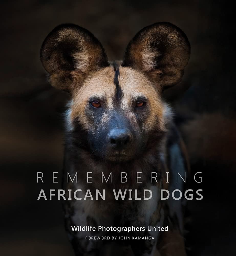 Remembering African Wild Dogs (Copy)