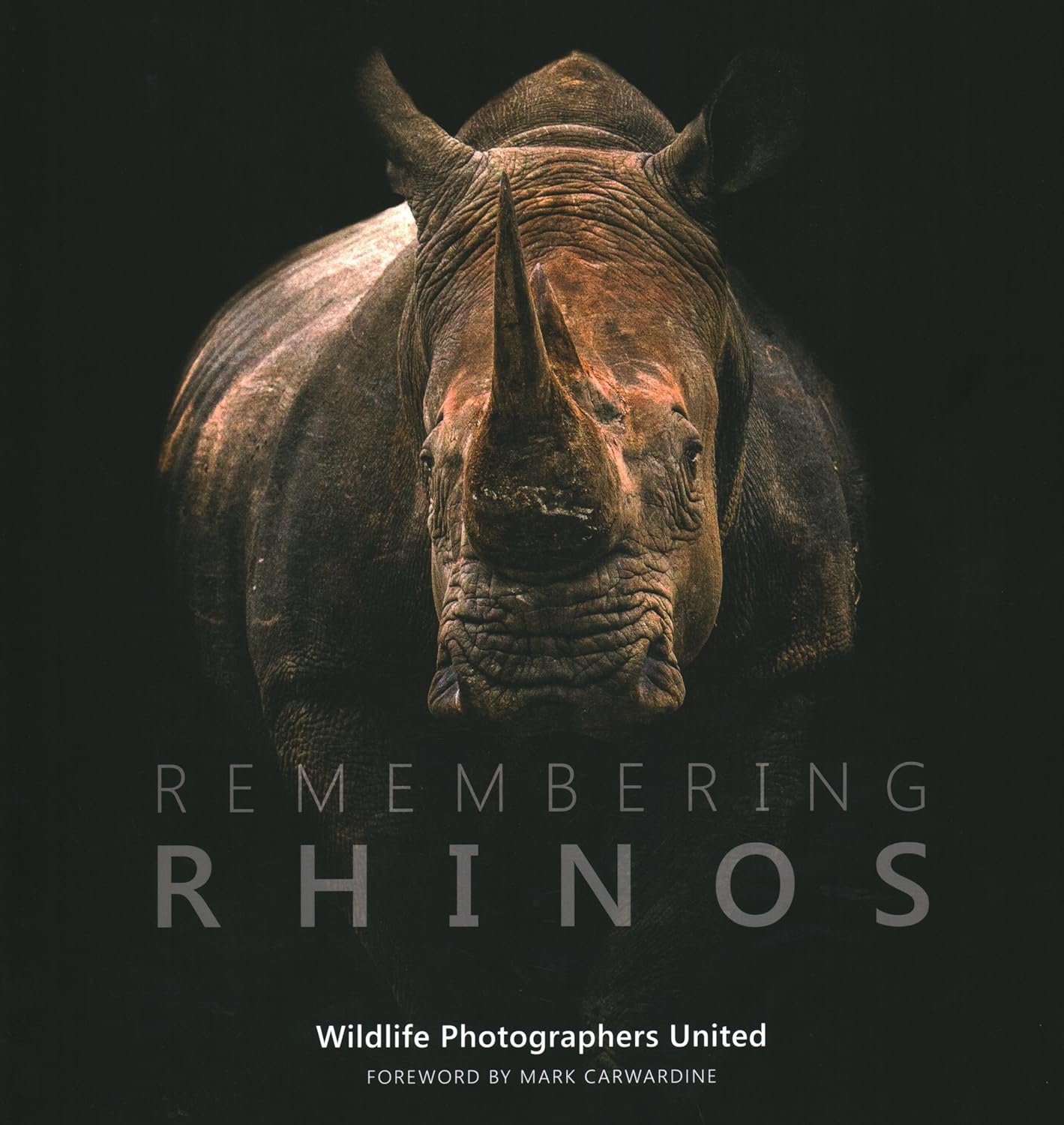 Remembering Rhinos (Copy)