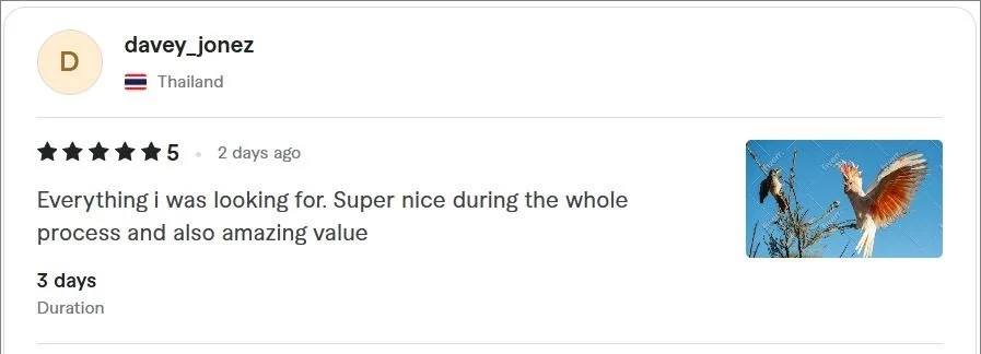 Real client reviews from photographers, travelers, and safari guests who have trusted my wildlife, safari, and nature photo editing services.