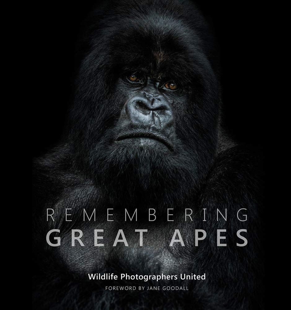 Remembering Great Apes (Remembering Wildlife)  (Copy)