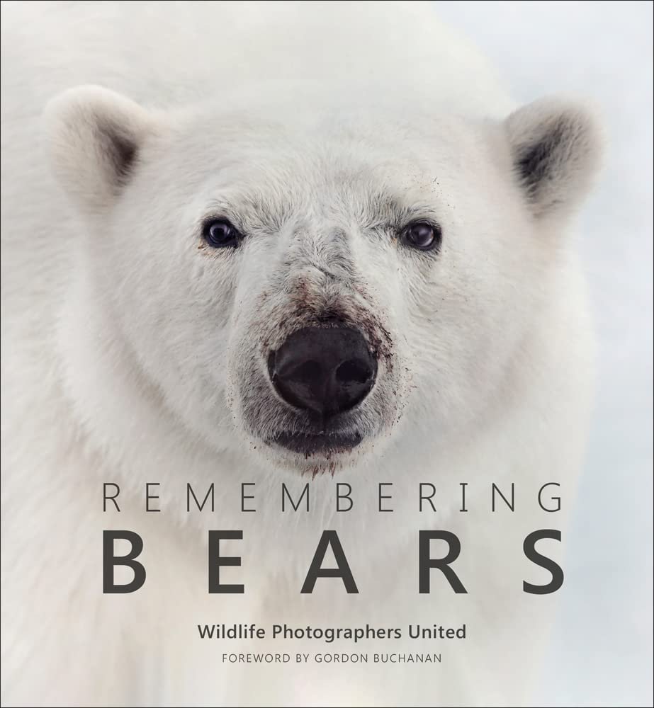 Remembering Bears (Copy) (Copy)