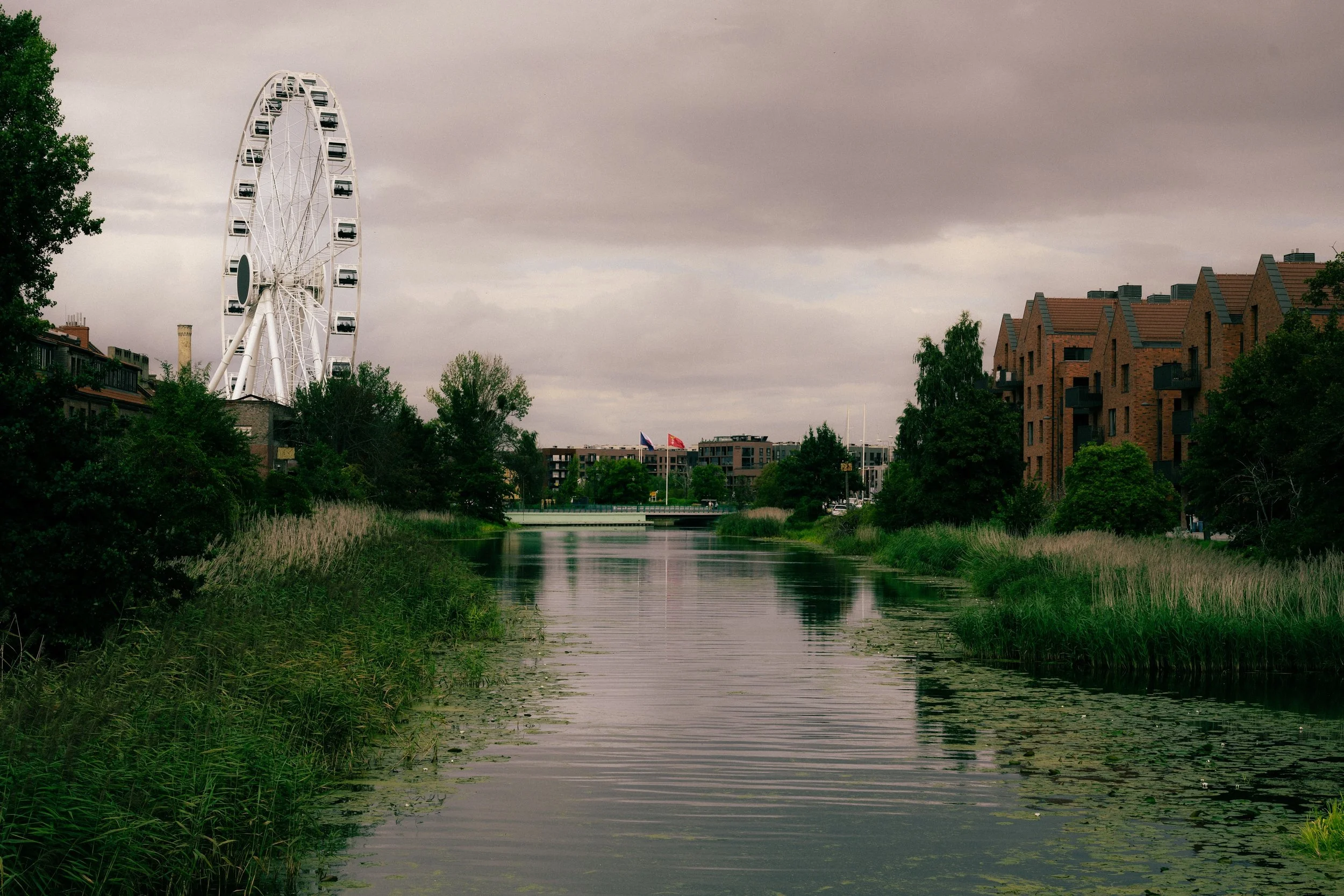 DSC_5213.JPG