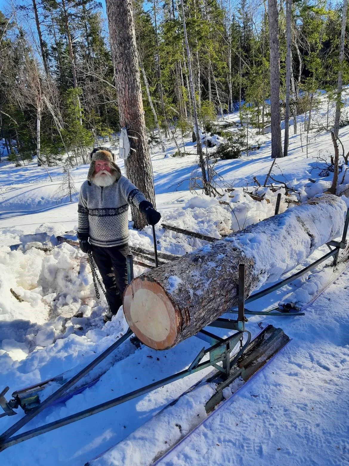 Henting av skogstømmer vinterstid