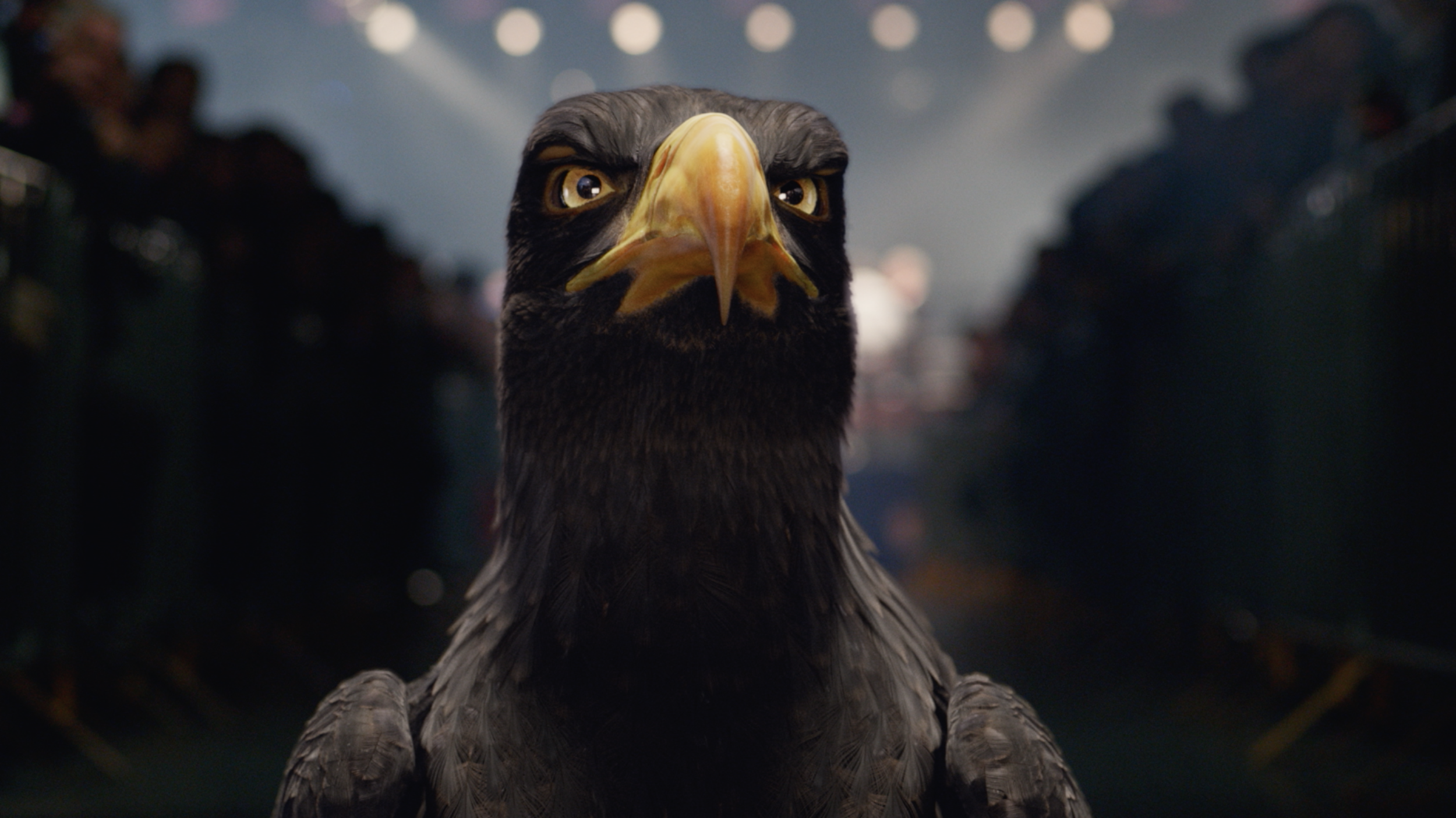Tecate: Born Bold