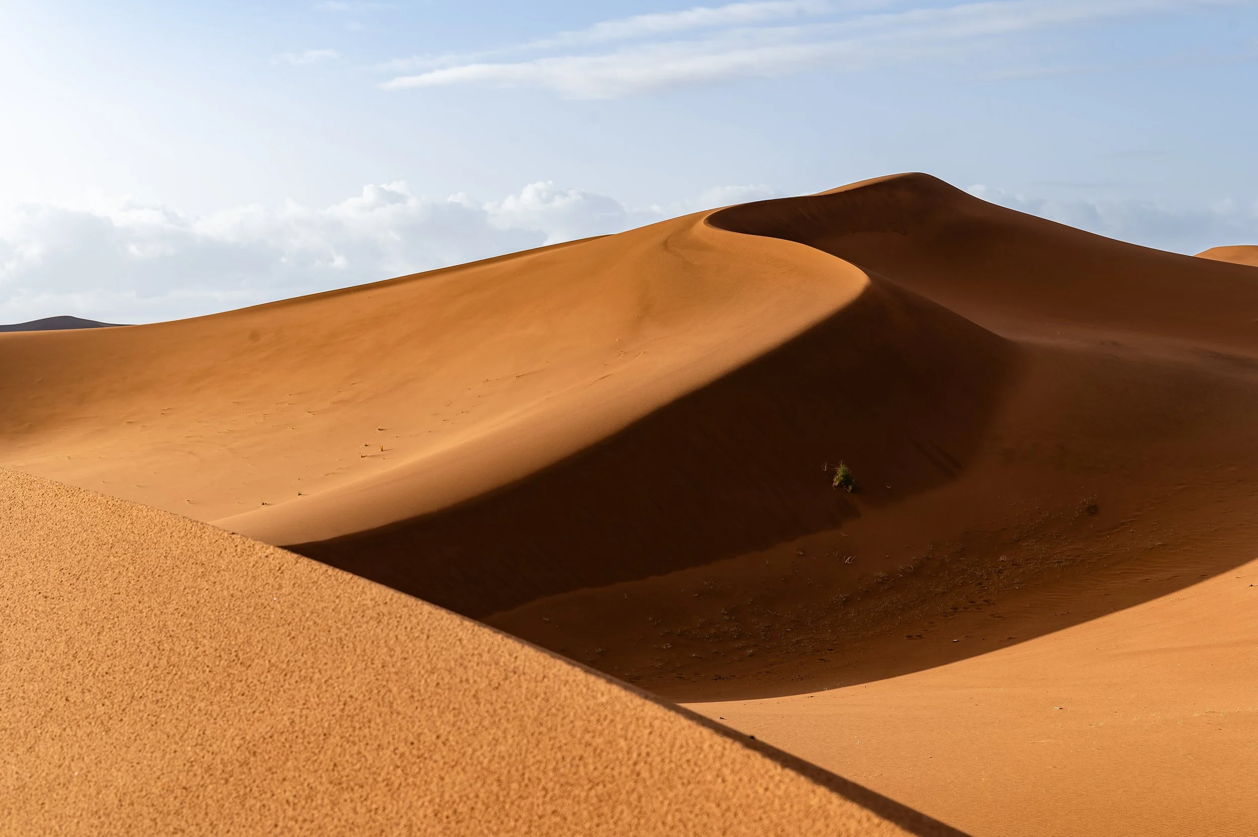Moroccan Sahara