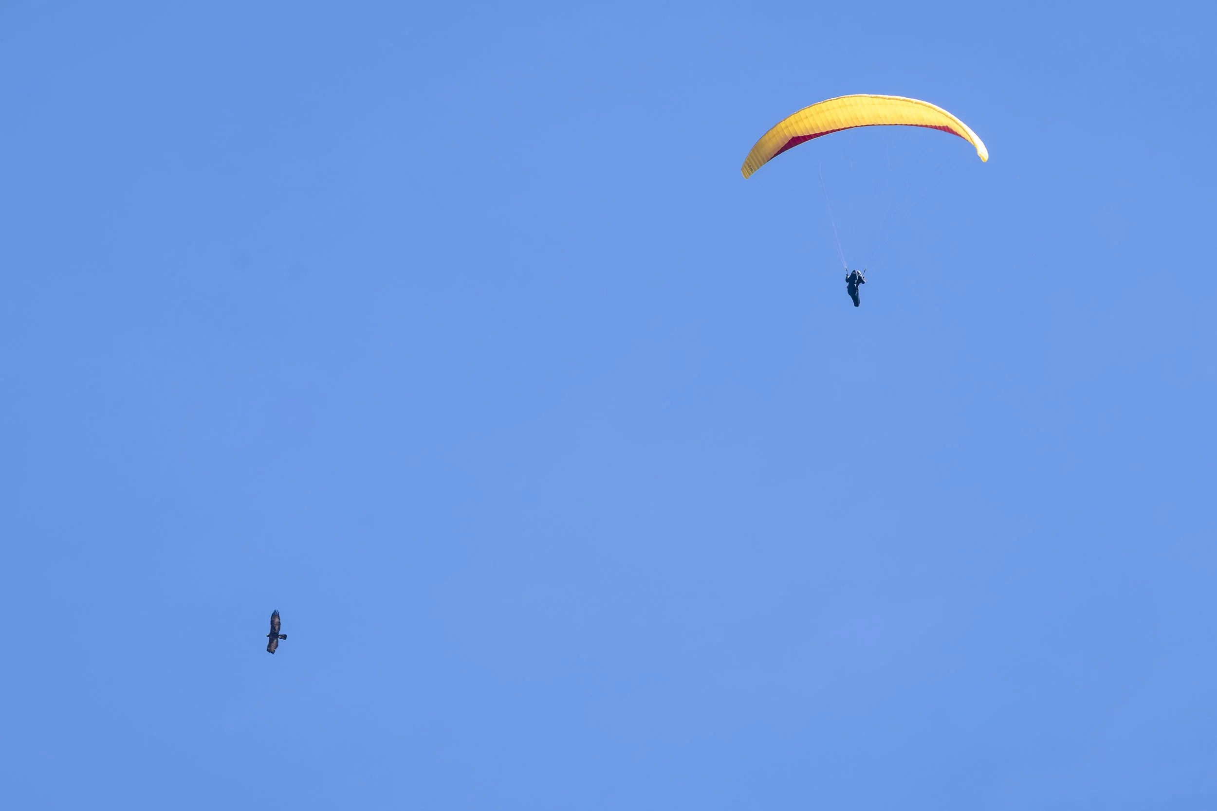 20261003-DSC_86320.jpg