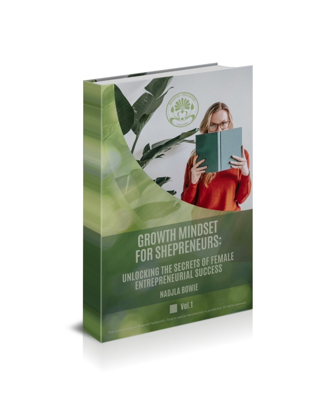 Vol.01. Growth Mindset for Shepreneurs