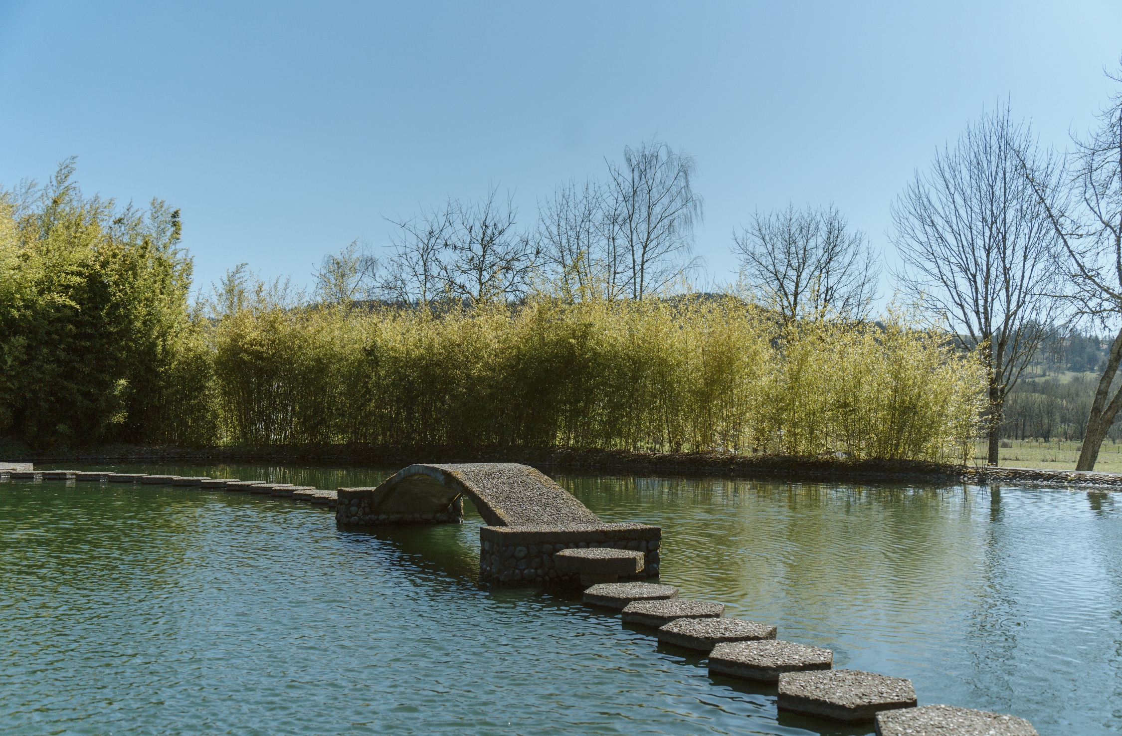 ever finding beauty-grace devries-the water oasis-newberg.jpg 2026-04-14 at 14.16.34.jpg