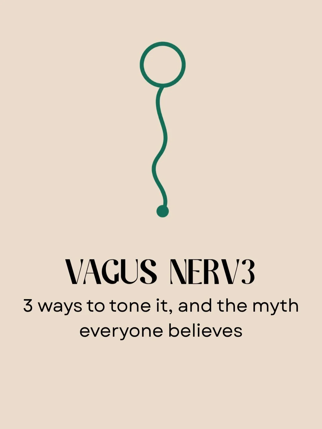 The vagus nerve is the longest cranial nerve in your body, running from your brainstem down through your neck, chest, and gut. It&rsquo;s the main highway of your parasympathetic (&lsquo;rest and digest&rsquo;) nervous system. 

It&rsquo;s not someth