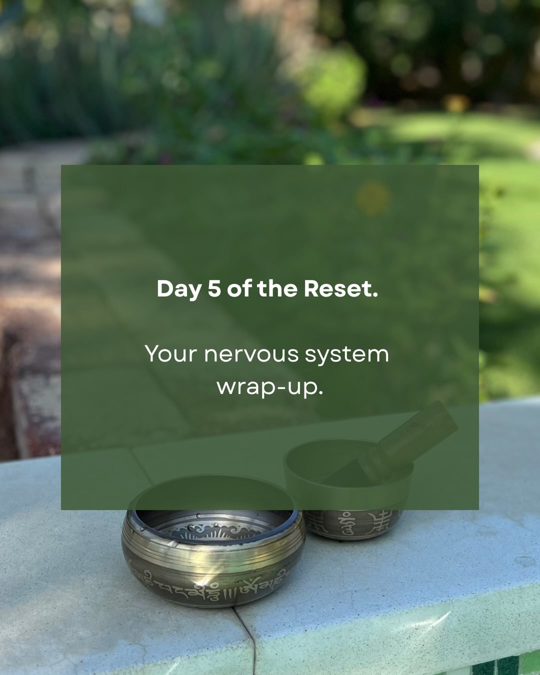 ✨And that&rsquo;s a wrap on our quick but impactful 5-day nervous system reset.

Little consistent things you can do for yourself, to support your nervous system wherever you are. 

👉🏽 Swipe through for a synopsis of everything we covered.