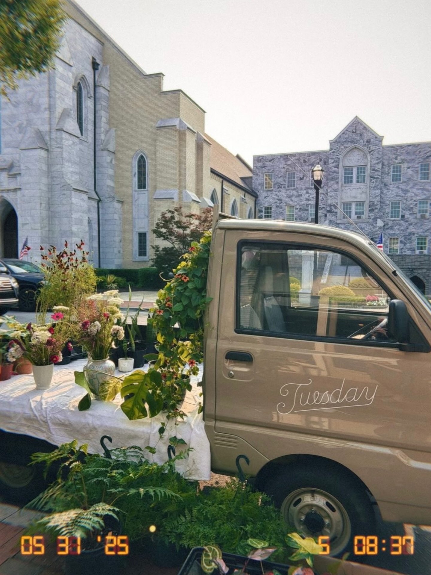 the most beautiful saturday!! come support small with @thegreenthumbdiaries + @thehomebodybookshelf and a yummy coffee ✨✨ 

photo by @future.dr.allie
