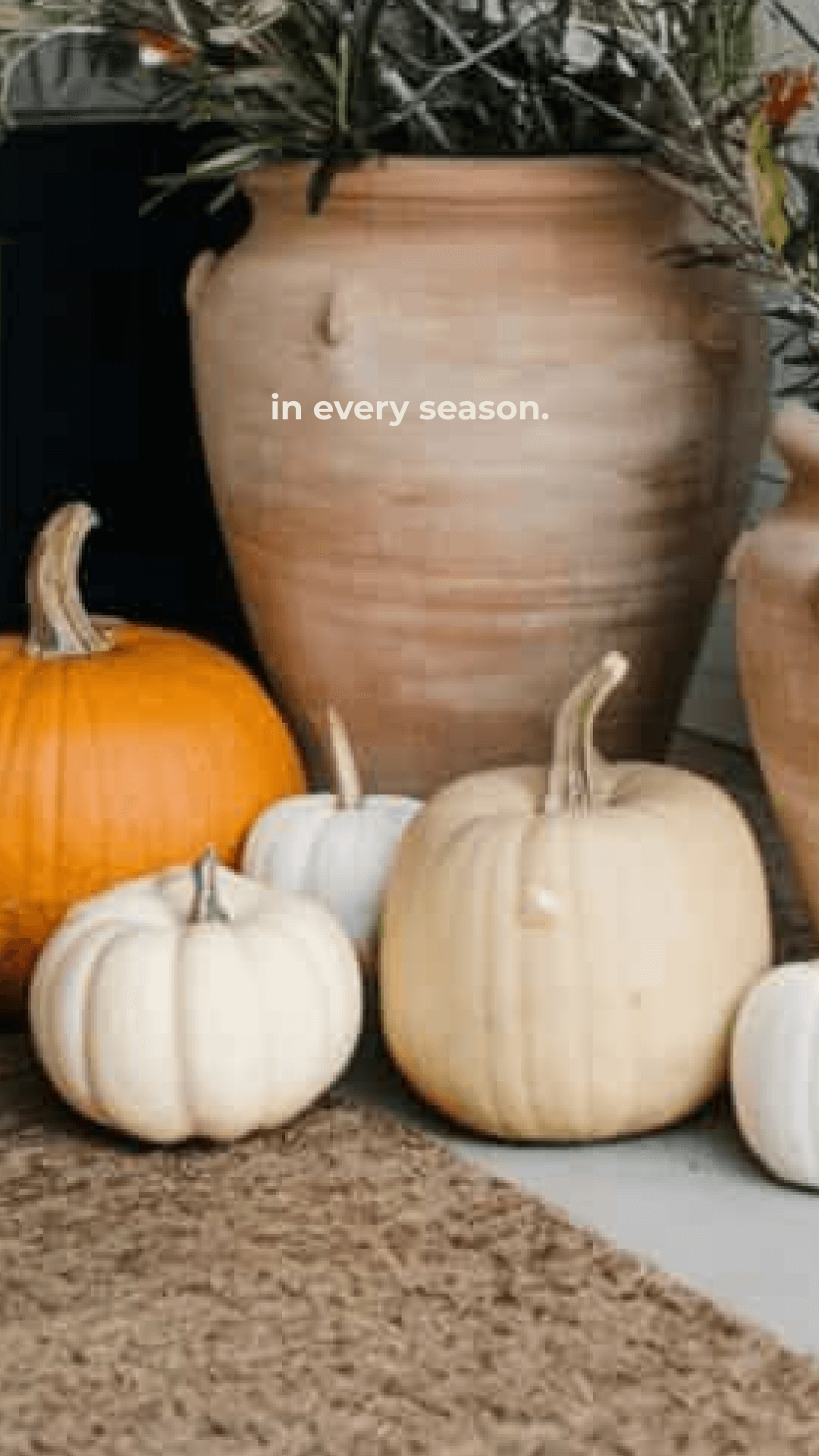 Assorted pumpkins in white and orange sit on a doorstep next to a large terracotta pot with greenery. Text reads "in every season," creating cozy atmosphere on a porch.
