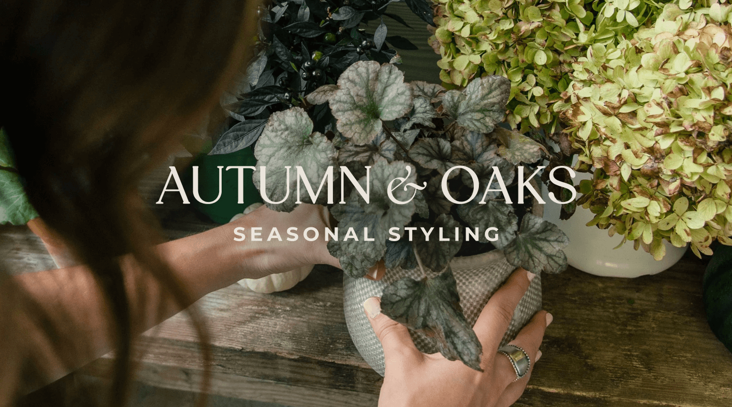 Autumn and Oaks seasonal styling logo as overlay woman rearranging plants on outdoor wooden bench