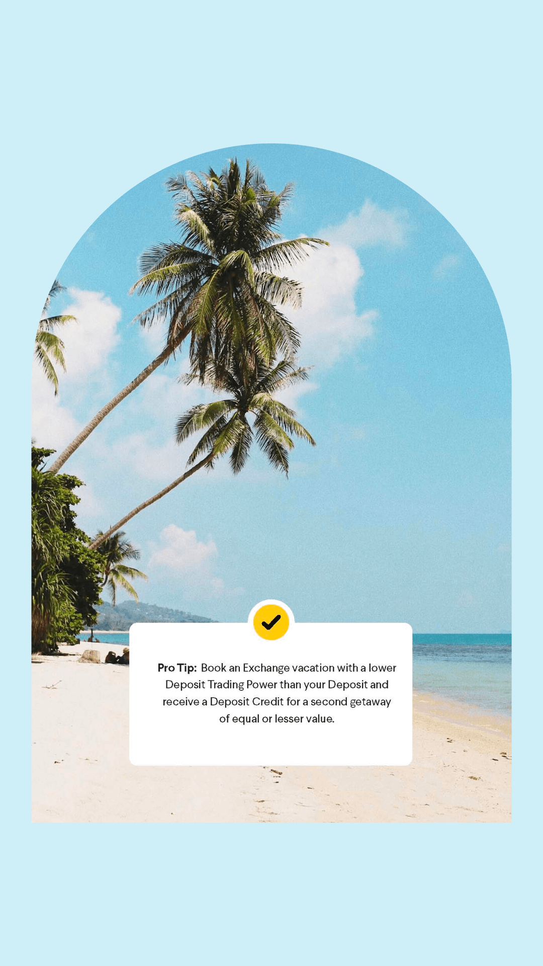 Tropical beach scene in arch on light blue background with tall palm trees leaning over white sand, blue sky, and calm ocean. A tip overlay suggests booking on white background with yellow checkmark centered.