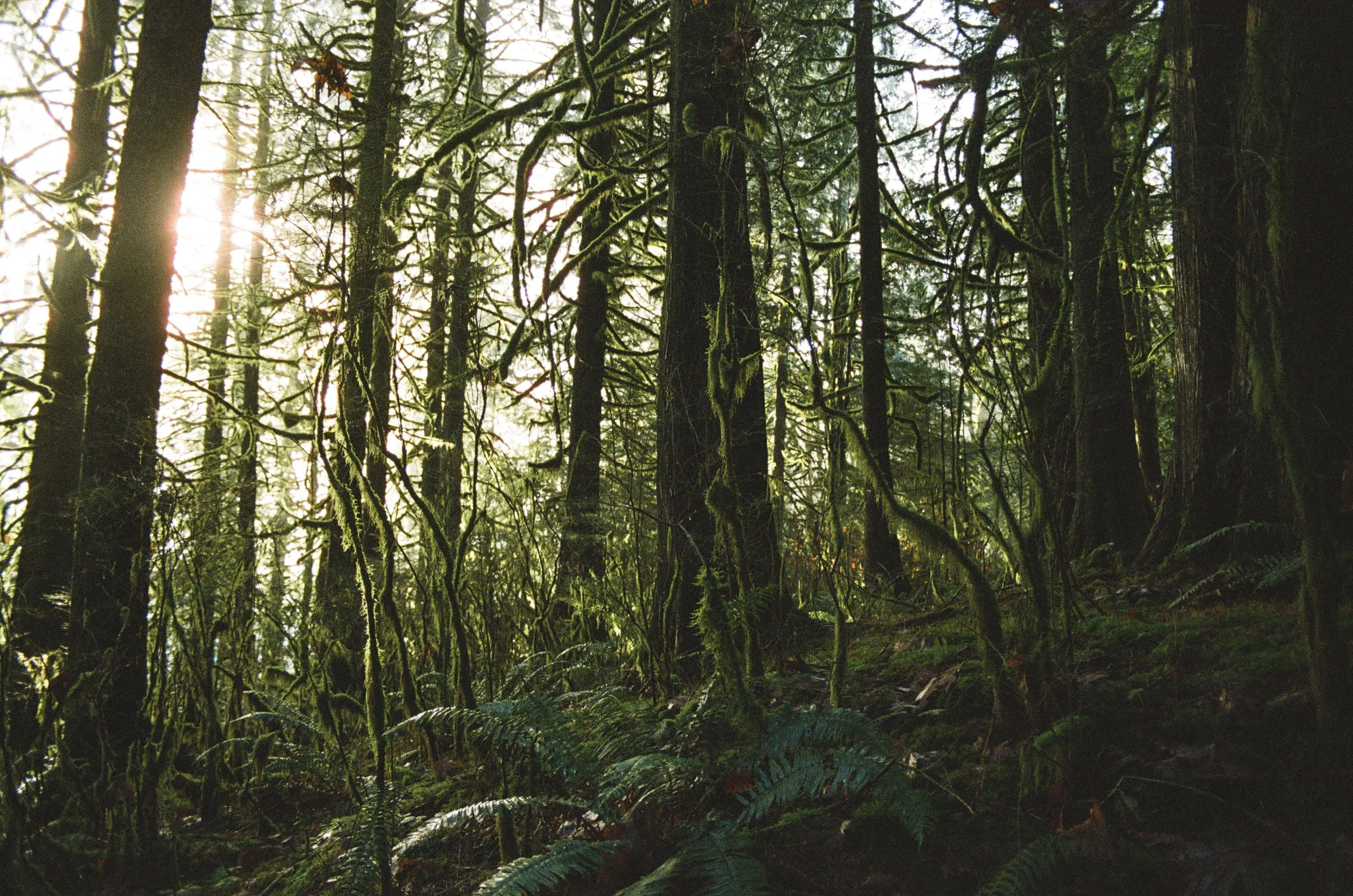 VANCOUVER 2025-16.jpg