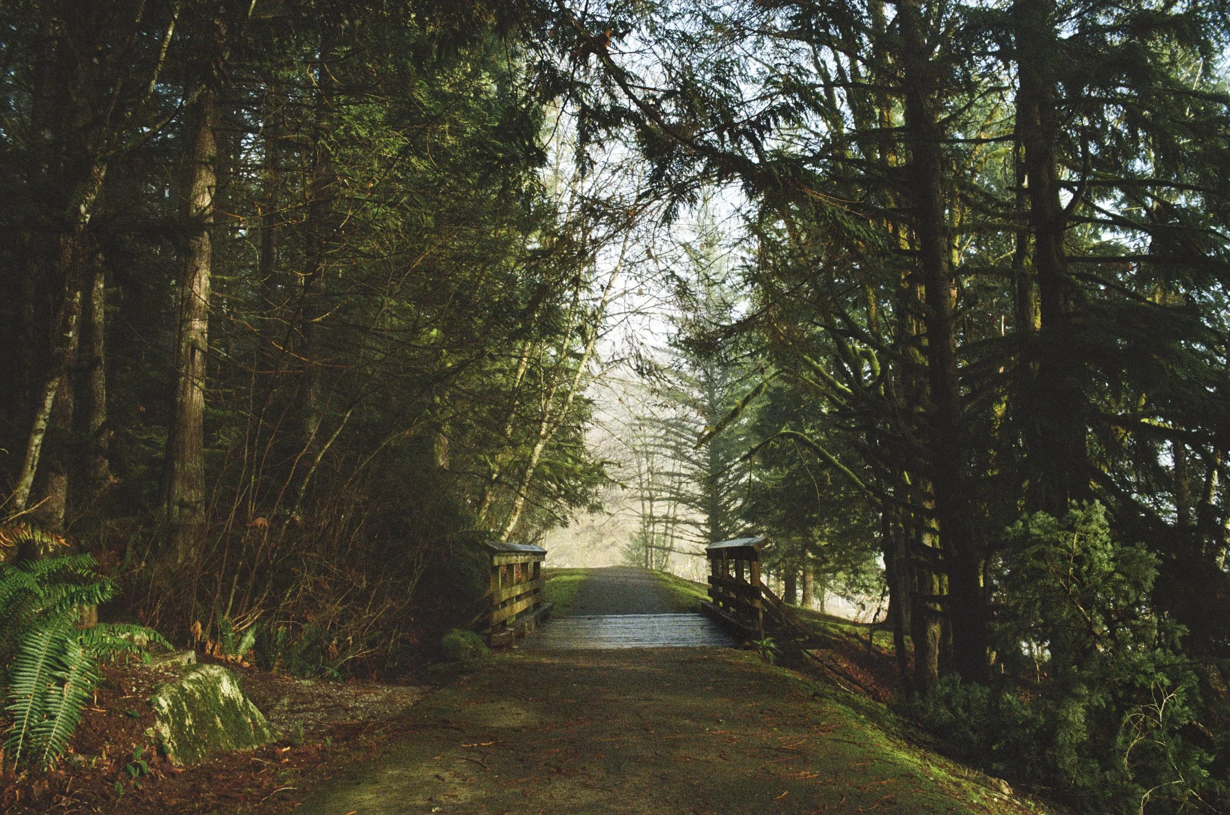 VANCOUVER 2025-18.jpg