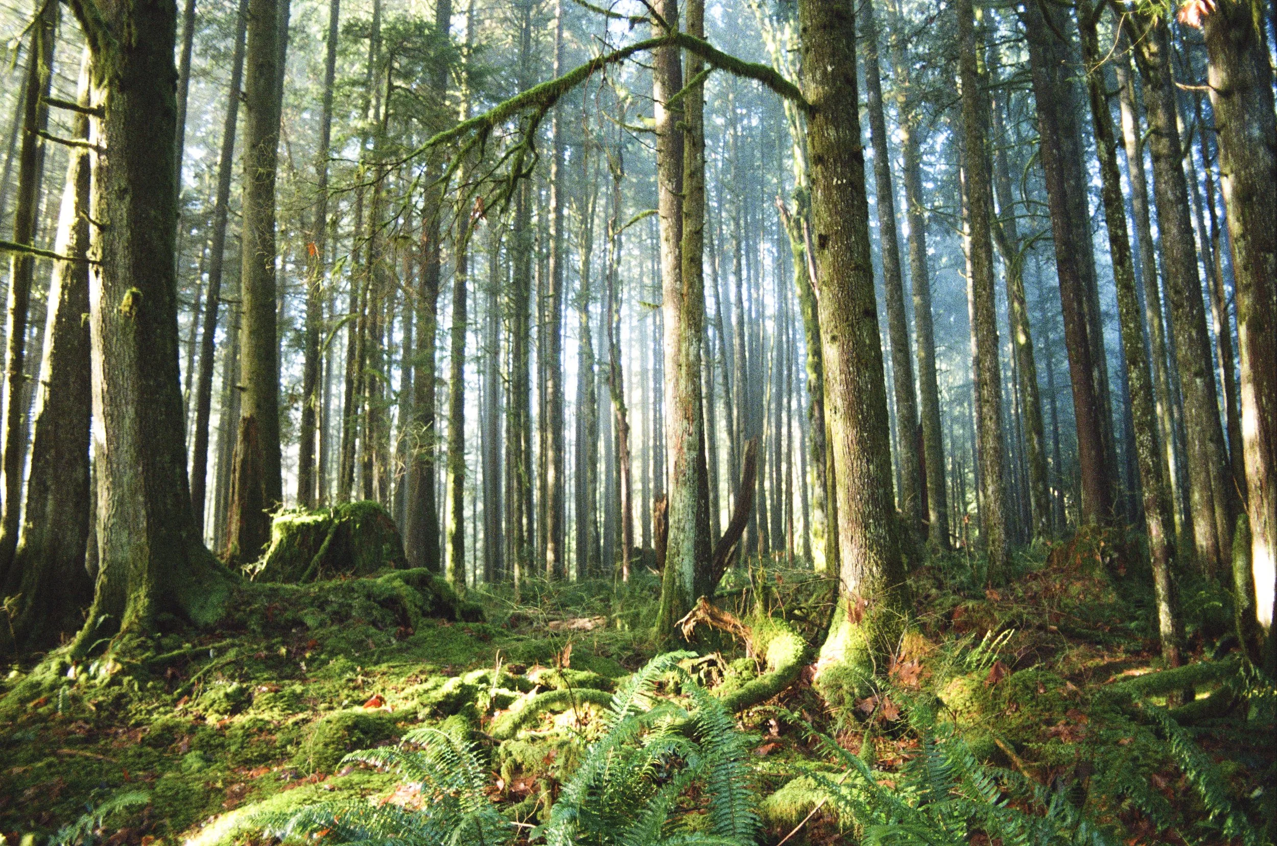 VANCOUVER 2025-20.jpg