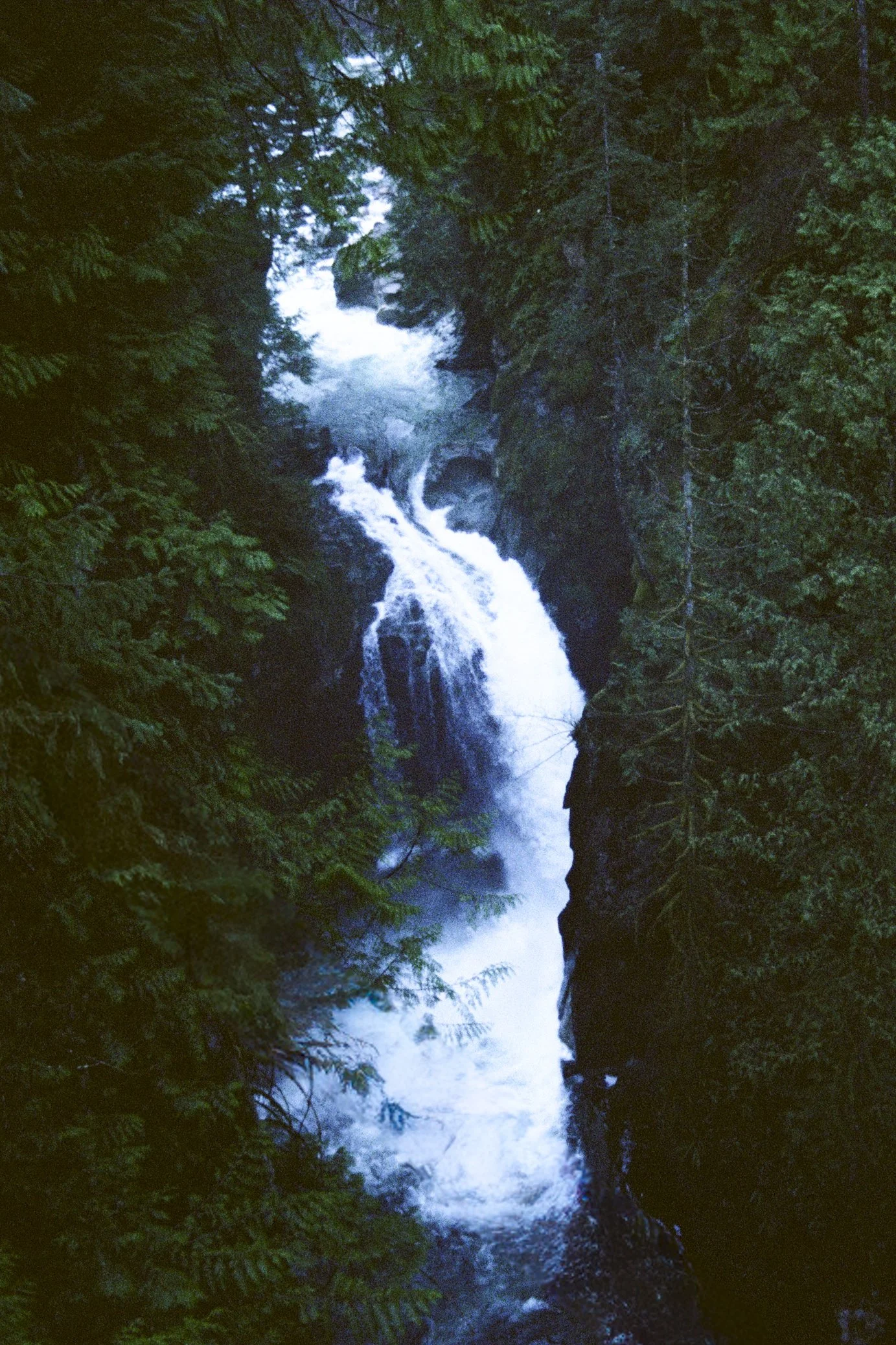 VANCOUVER 2025-7.jpg