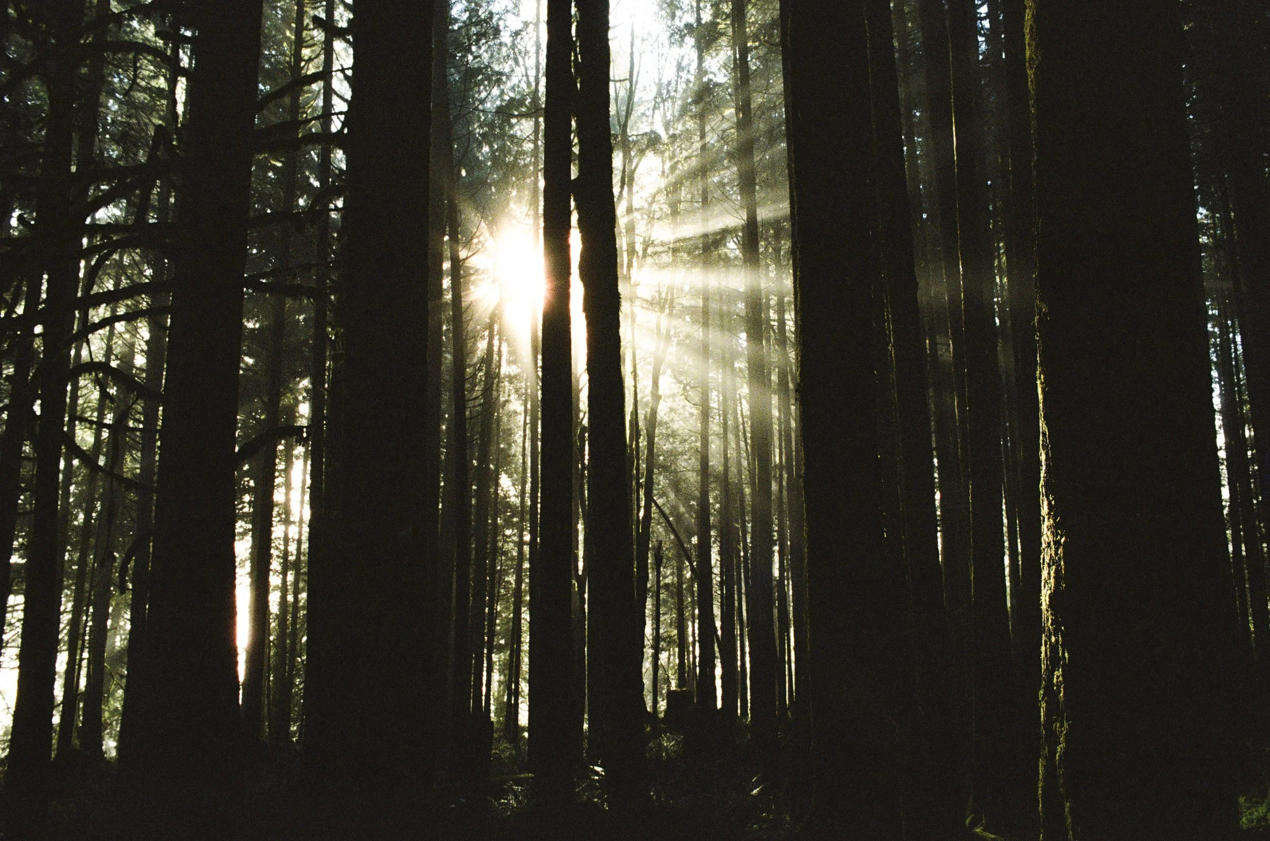 VANCOUVER 2025-21.jpg