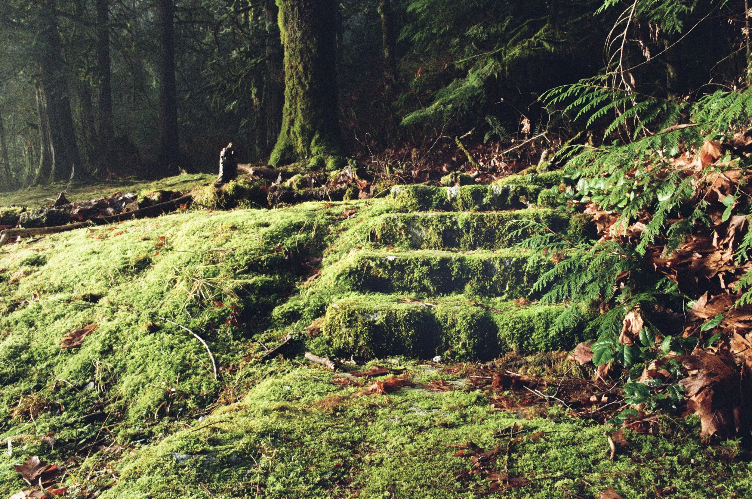 VANCOUVER 2025-19.jpg