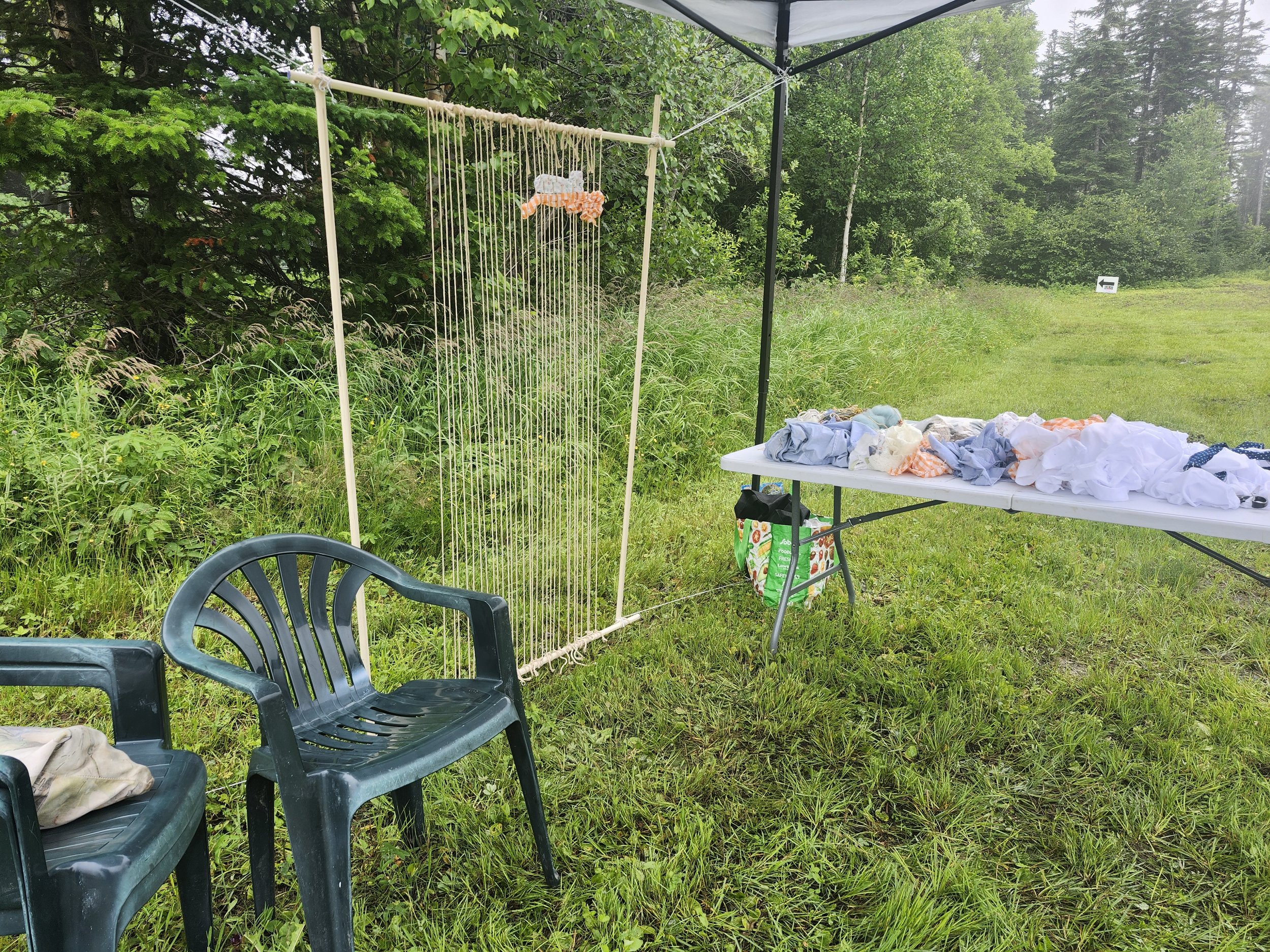 20250726_120523.jpg