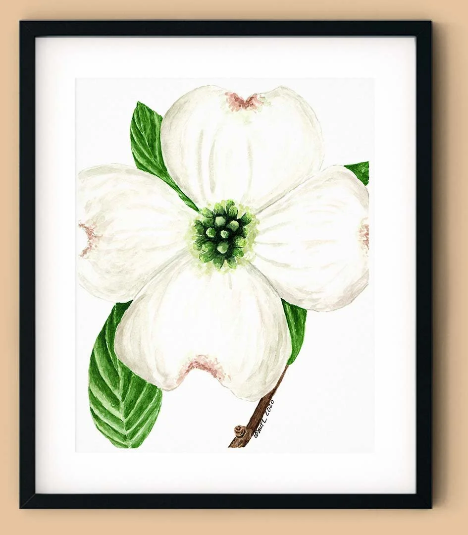 Watercolor-Dogwood-Flower-Black-Frame-MamaDuck-Art-Beth-Smith.jpg