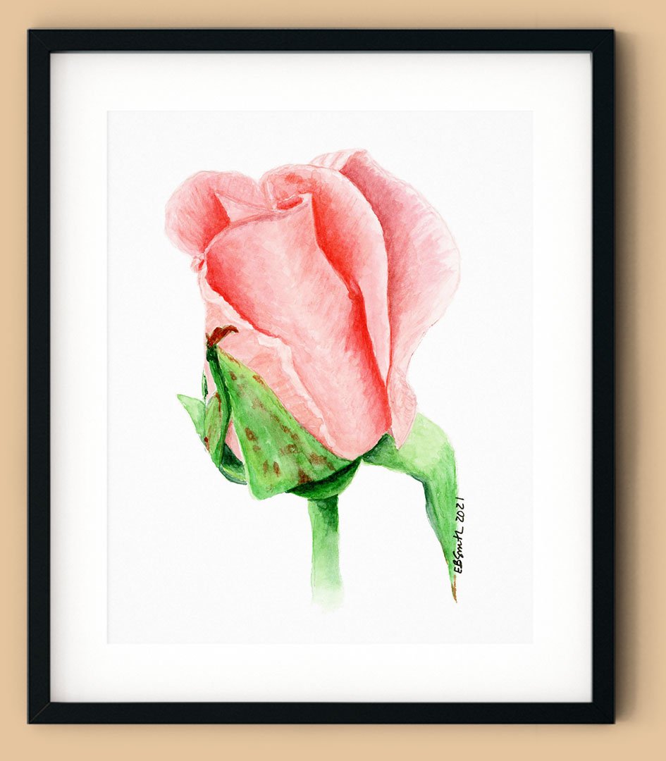 Rosebud - a vertical watercolor print — MamaDuck Art
