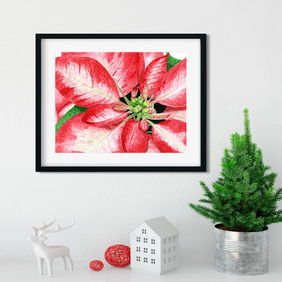 December 12 is National Poinsettia Day to celebrate one of the most recognizable flowers. It was brought to the US in 1825 by Joel Roberts Poinsett, an American botanist and the first U.S. Minister to Mexico. But do you know the Mexican legend regard