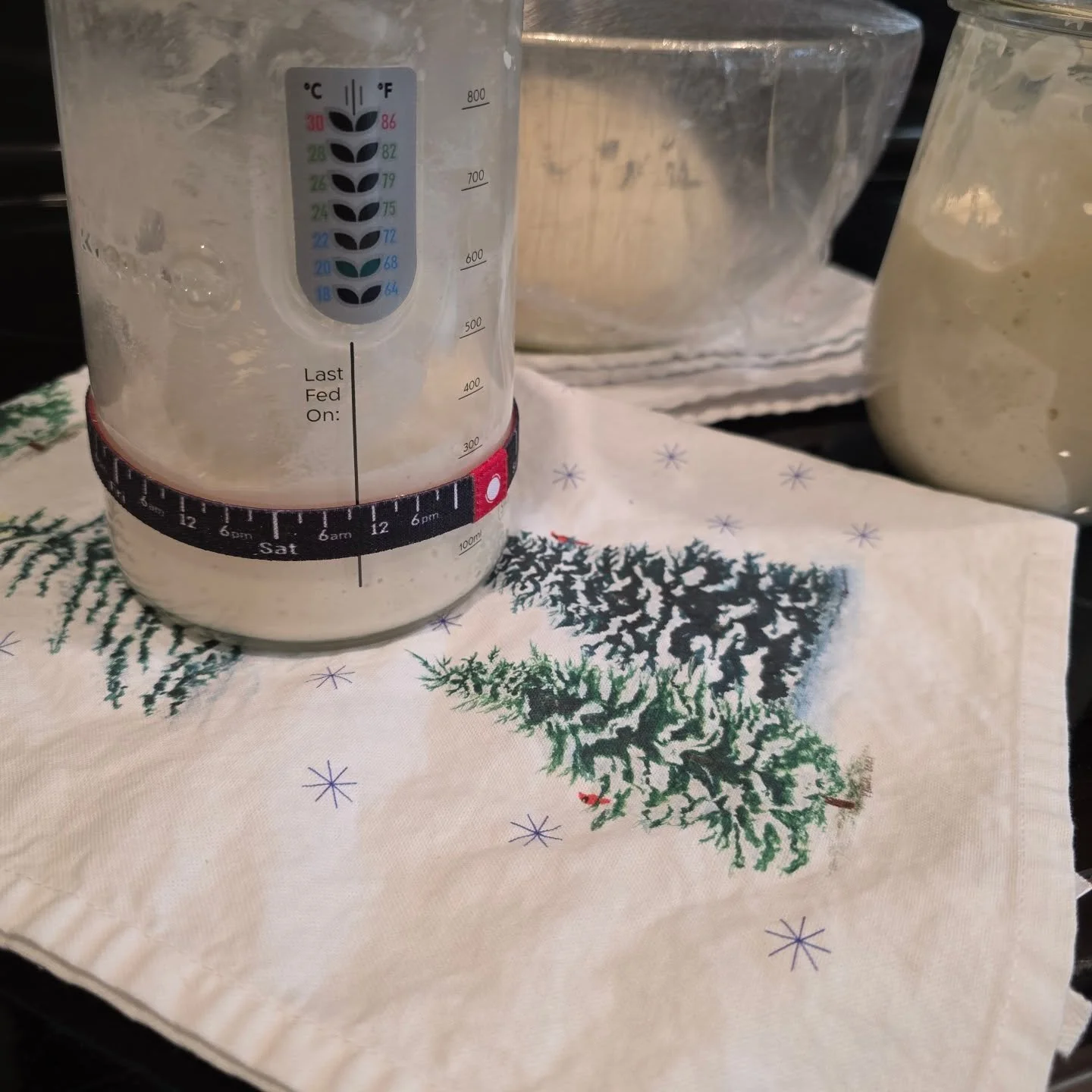 Makin' sourdough bread today with my starter, "Macon," &amp; I have lots of discard... about 500g... (in the jar on the right). What should I make? (FYI - I made flatbread pizza &amp; brownies last night.) And, yes, my friends, that's a Mam