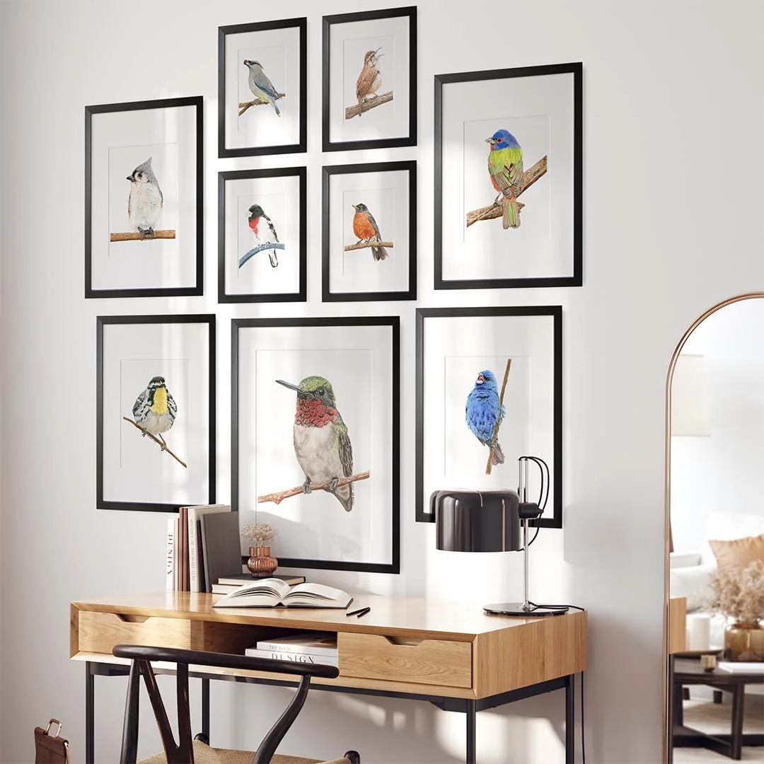 Just sharing what might be a bird lover's dream wall. What do you think??

#birdart #birdartwork #birdpaintings #fineartprints #natureart #homedecor #homedecorart #gallerywalldecor #natureart #natureinspiredart #birddecor #ncartist #matthewsnc #mamad