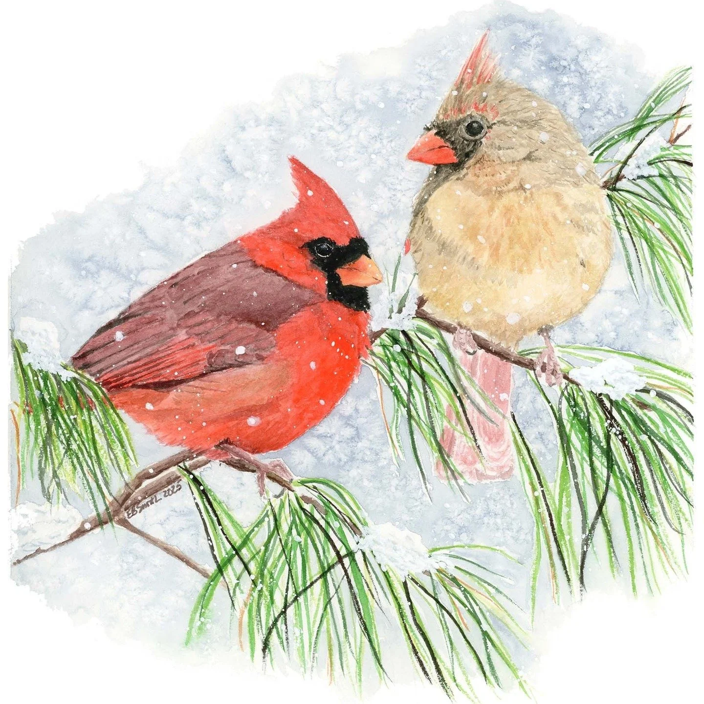 "When Cardinals appear, angels are near." Thinking today of those for whom holidays are challenging and emotional. Loss of loved ones leaves a void, especially during the holidays. Sending wishes for connection, hope, and love to all those 