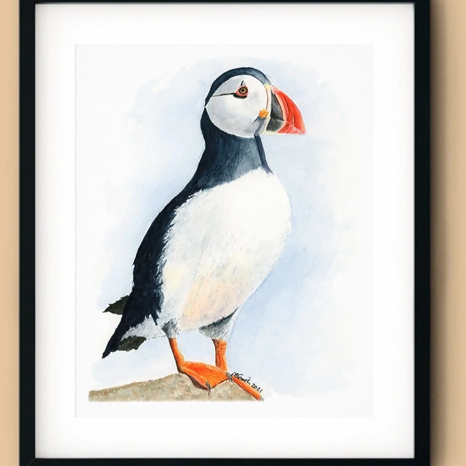 Sharing a Puffin today on what would have been my mom's 98th birthday. She loved Puffins after seeing them in Alaska, so I painted this one several years ago in memory of her. Grief doesn't go away, does it? We just learn to live with it. And paintin