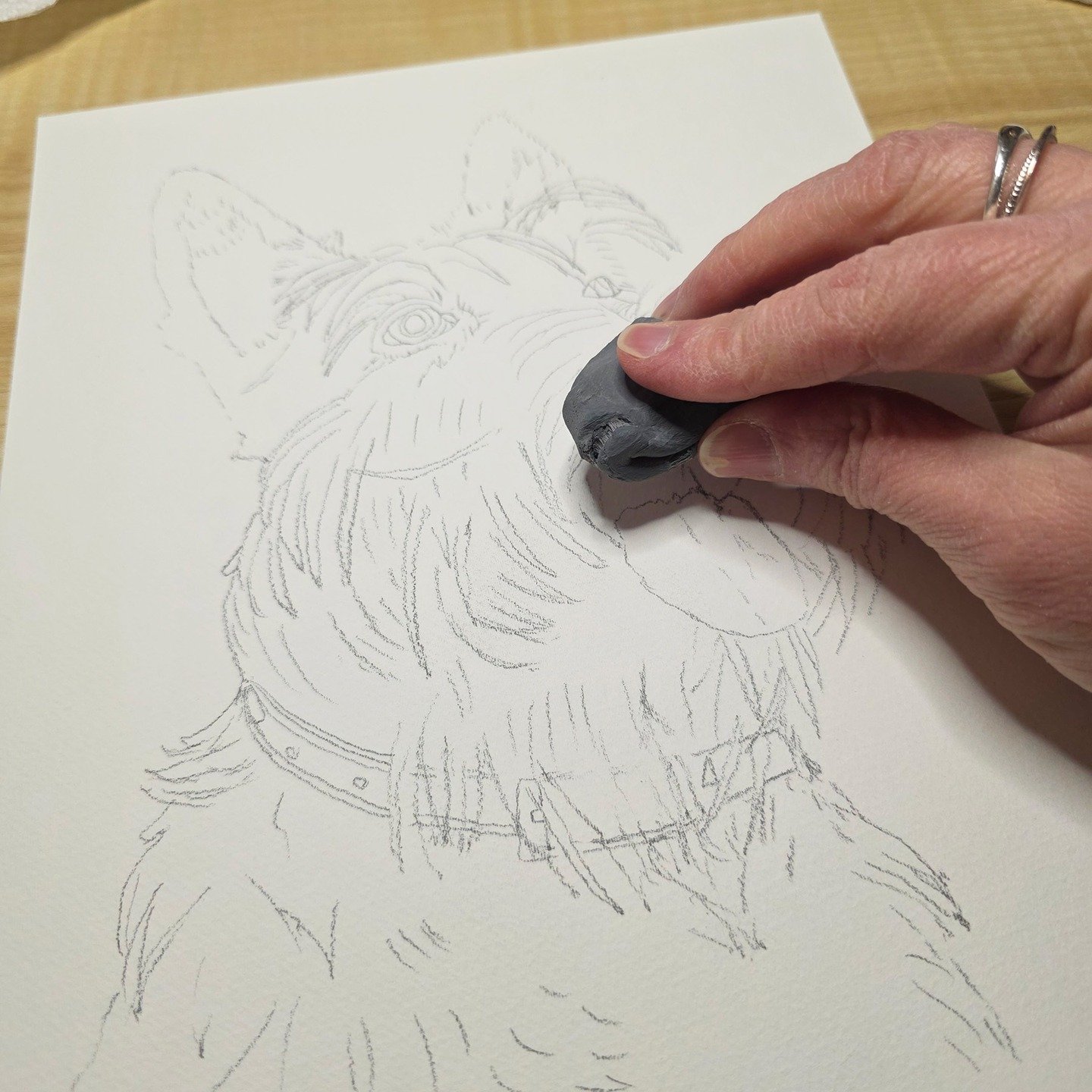And the first painting of 2026 is sketched, prepped, and on the easel. Now to find focus and mindfulness to bring it to life...

#artistlife #behindthescenes #inthestudio #ontheeasel #scottishterrier