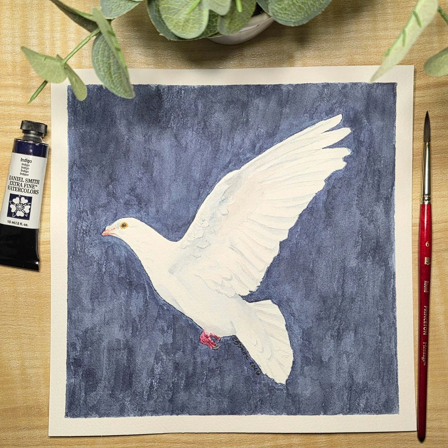 With the recent headlines in our country, I had to put the Scotty painting aside and paint something from my heart, my hurt, and my prayers. This painting of a white dove descending in the messy, chaotic, darkness represents the peace we so desperate